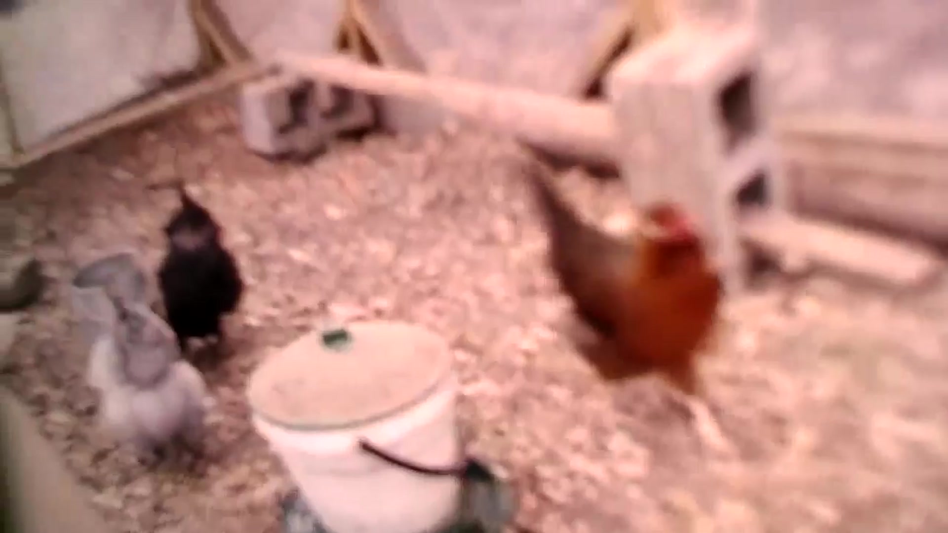 Gallery image thumbnail from WildflowerEm's myfreecams stream on, 03/29/2025, 23:41 image 11 of 20