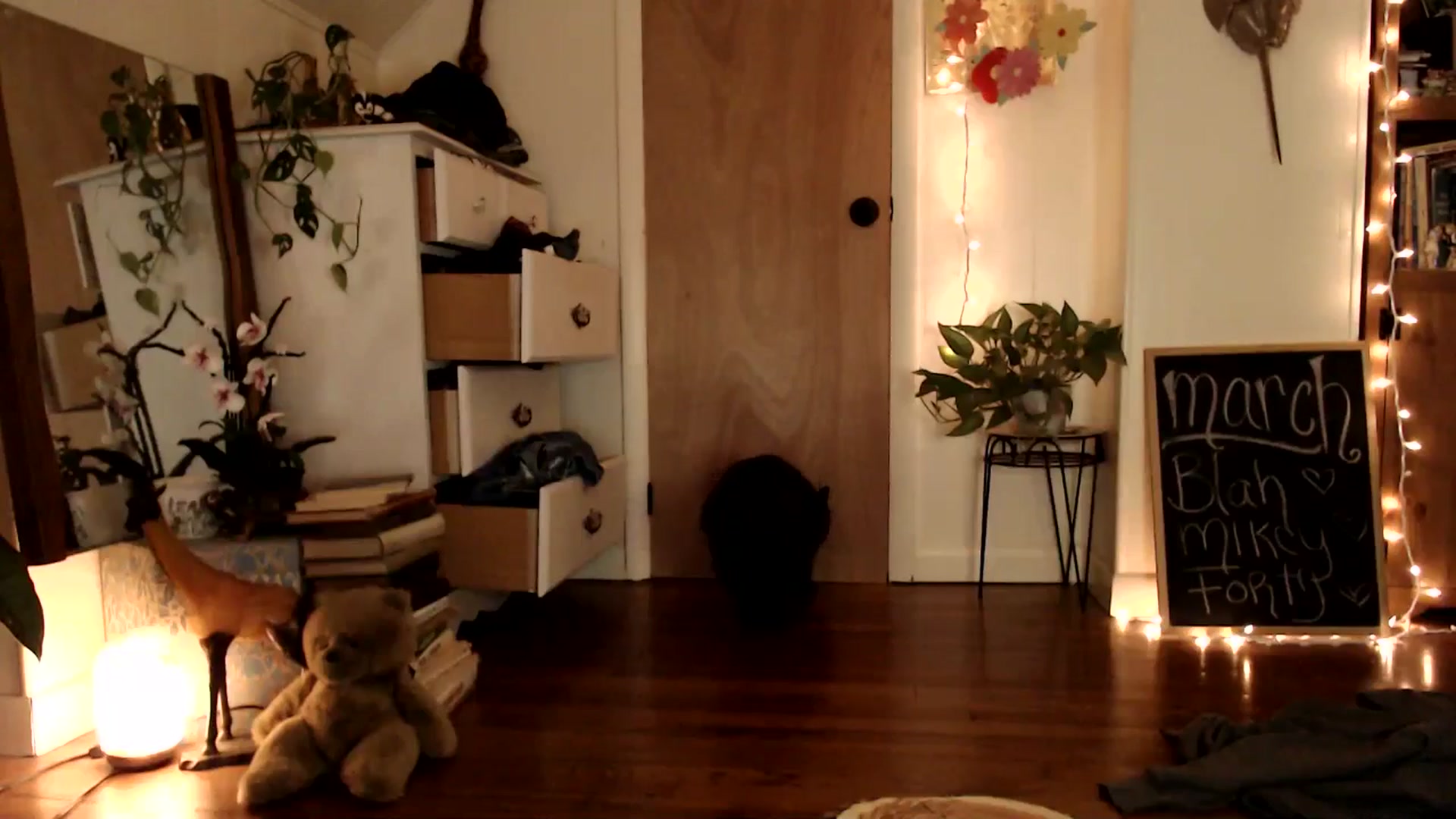 Gallery image thumbnail from WildflowerEm's myfreecams stream on, 03/29/2025, 23:41 image 15 of 20