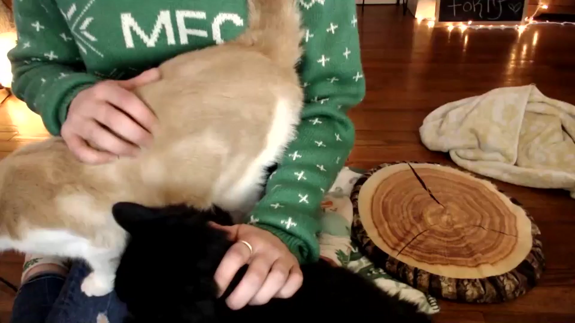 Gallery image thumbnail from WildflowerEm's myfreecams stream on, 03/30/2025, 21:31 image 1 of 20