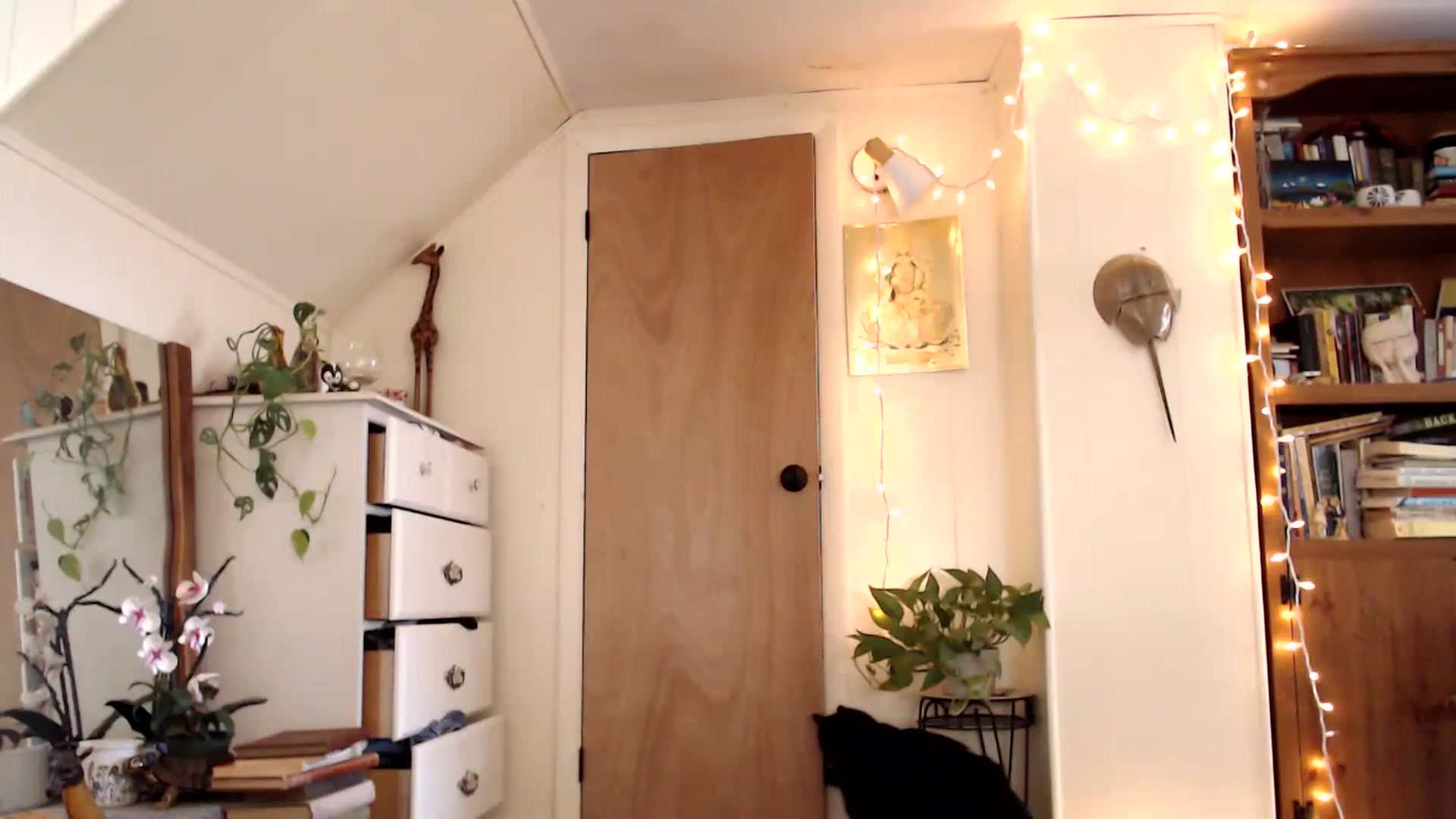 Gallery image thumbnail from WildflowerEm's myfreecams stream on, 04/02/2025, 19:20 image 13 of 20