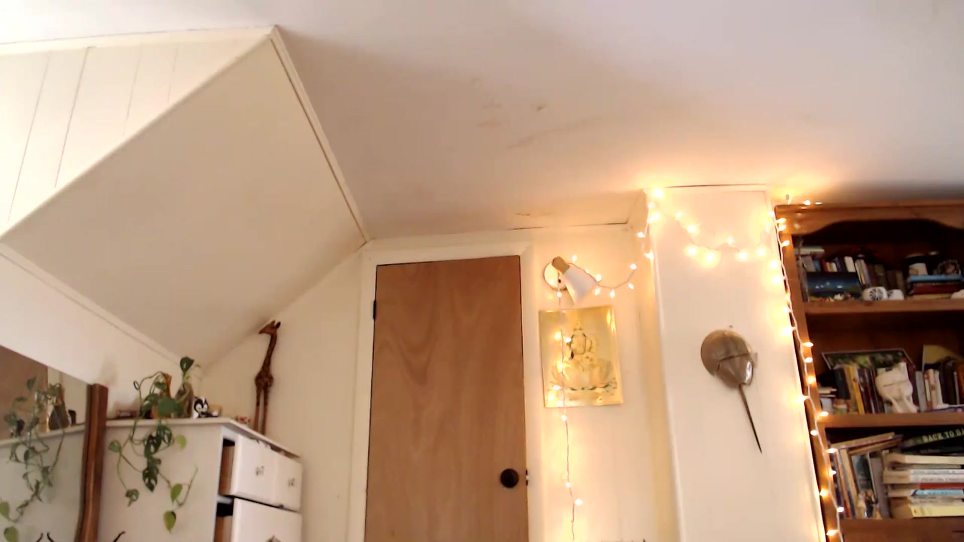 Gallery image thumbnail from WildflowerEm's myfreecams stream on, 04/10/2025, 19:18 image 6 of 20