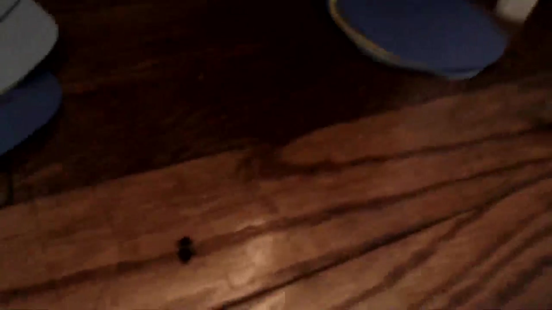 Gallery image thumbnail from WildflowerEm's myfreecams stream on, 04/24/2025, 19:19 image 13 of 20