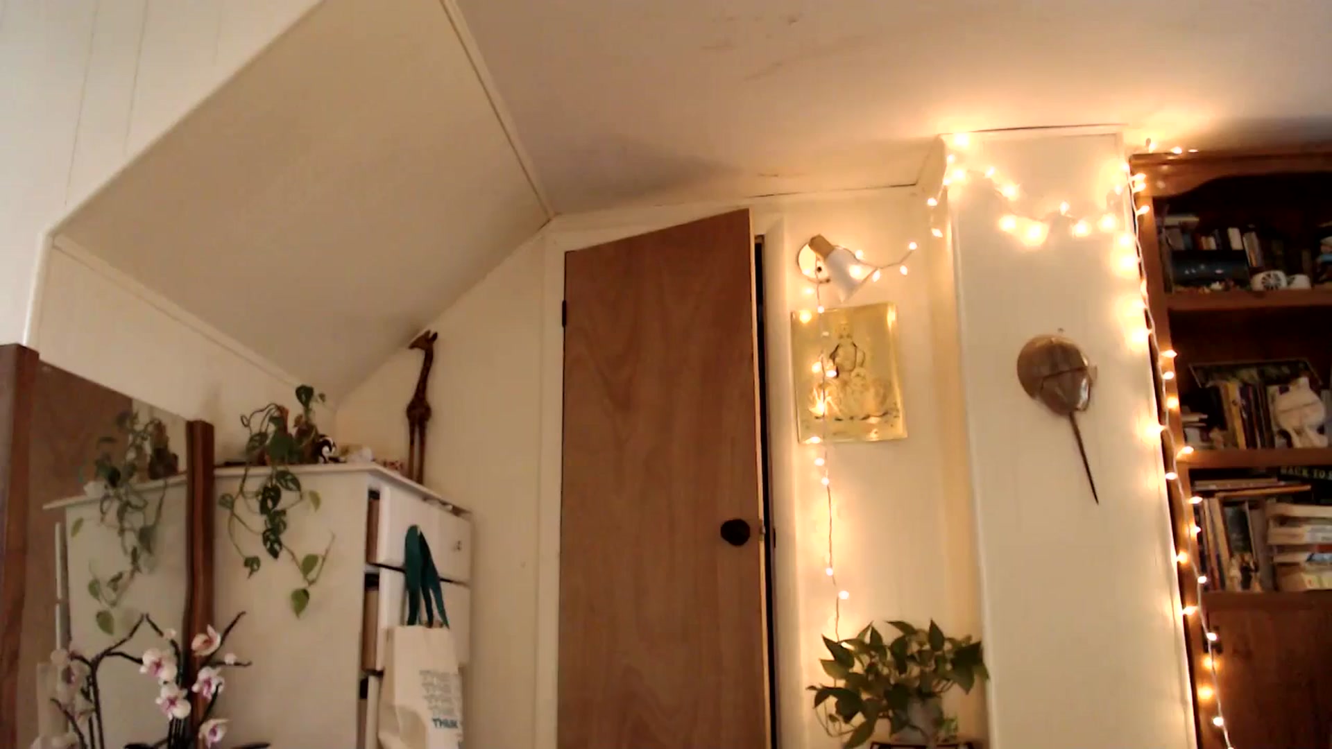 Gallery image thumbnail from WildflowerEm's myfreecams stream on, 05/04/2025, 22:42 image 8 of 20