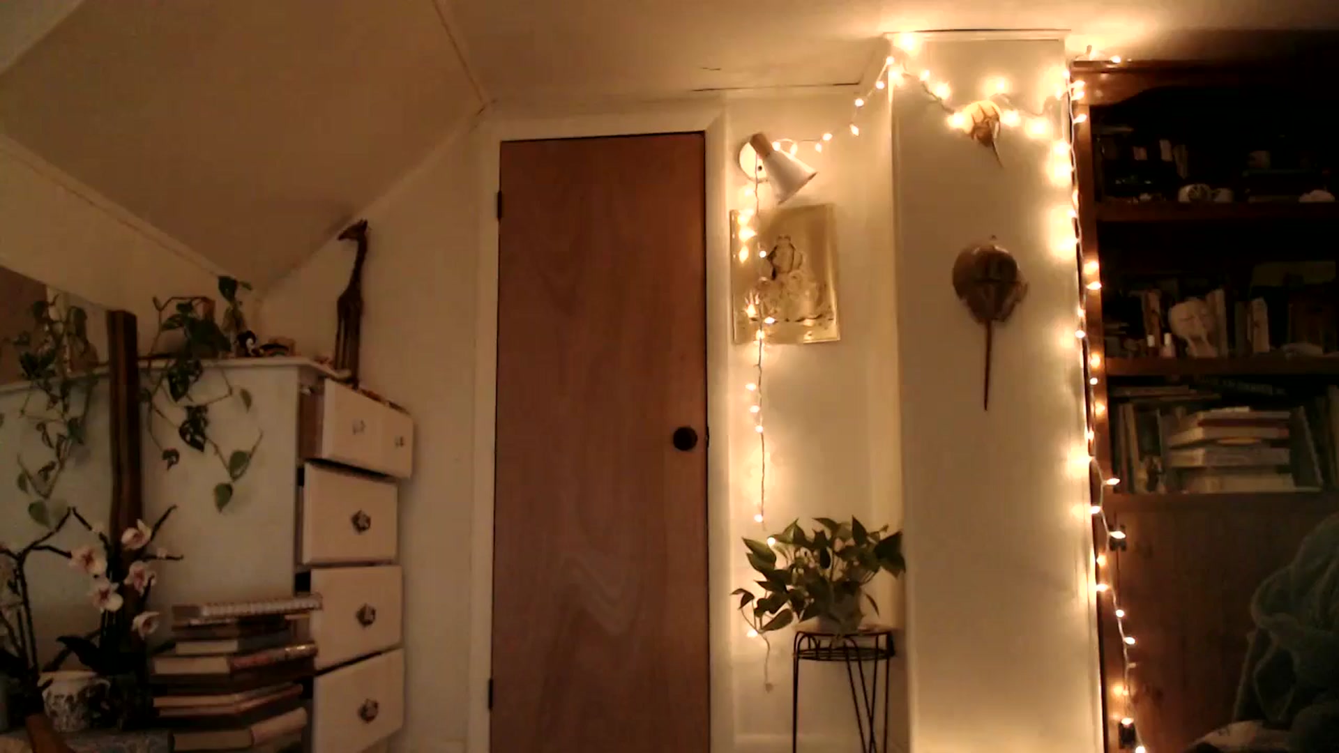 Gallery image thumbnail from WildflowerEm's myfreecams stream on, 06/15/2025, 23:56 image 19 of 20