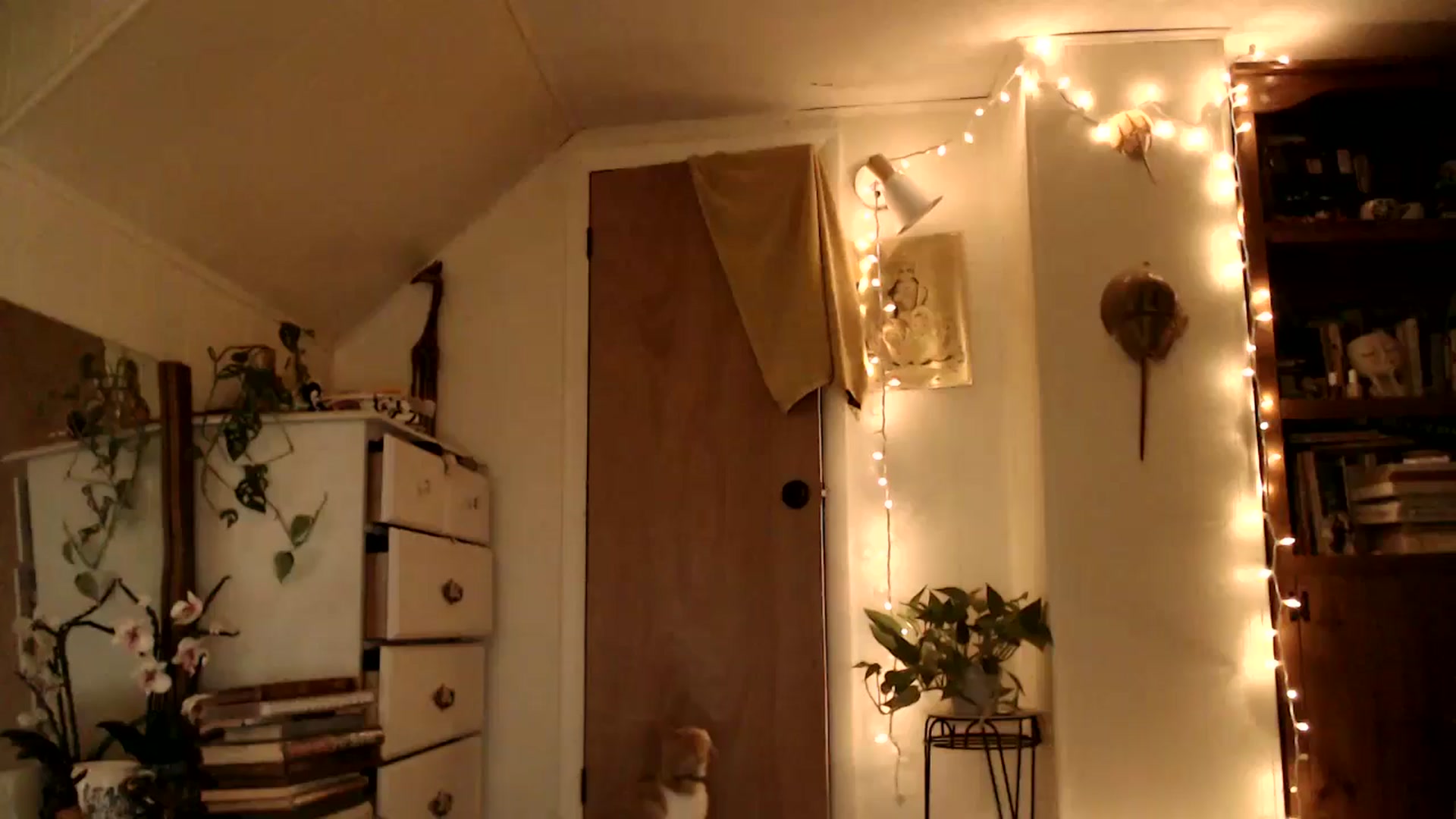 Gallery image thumbnail from WildflowerEm's myfreecams stream on, 06/27/2025, 24:06 image 20 of 20