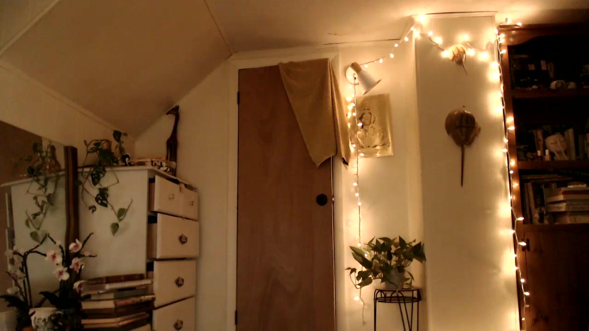 Gallery image thumbnail from WildflowerEm's myfreecams stream on, 06/27/2025, 24:06 image 19 of 20