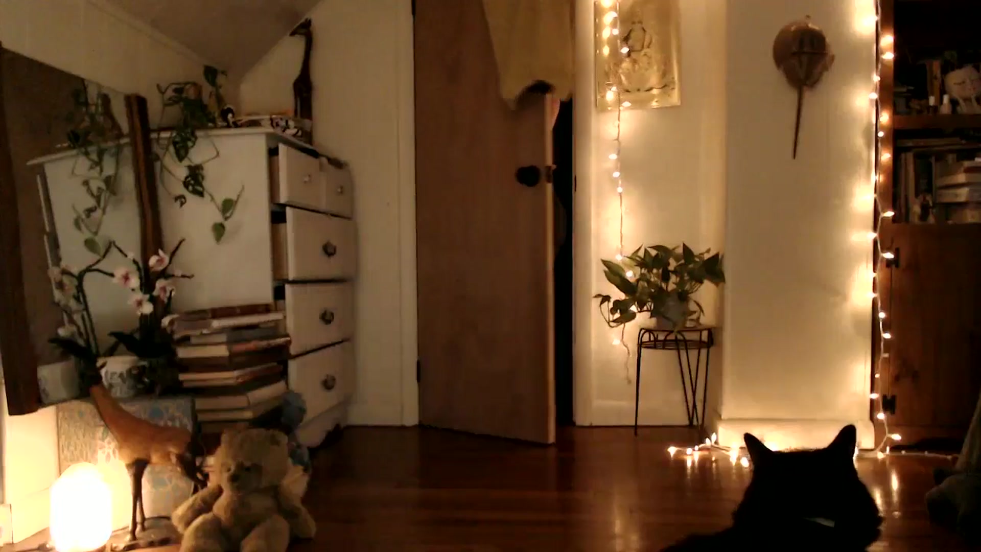 Gallery image thumbnail from WildflowerEm's myfreecams stream on, 06/27/2025, 24:06 image 10 of 20