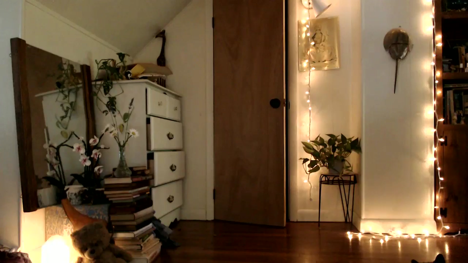 Gallery image thumbnail from WildflowerEm's myfreecams stream on, 07/06/2025, 23:15 image 14 of 20