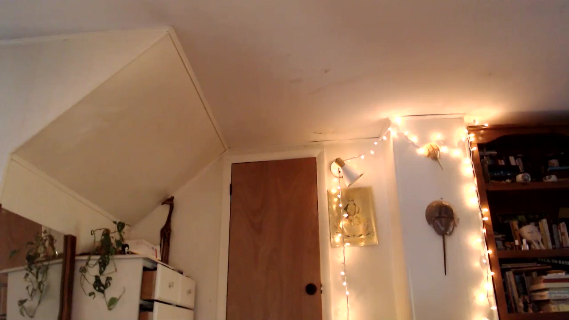 Gallery image thumbnail from WildflowerEm's myfreecams stream on, 07/12/2025, 23:13 image 10 of 20
