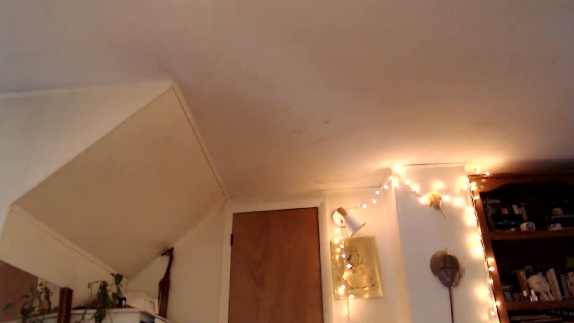 Gallery image thumbnail from WildflowerEm's myfreecams stream on, 07/12/2025, 23:13 image 11 of 20