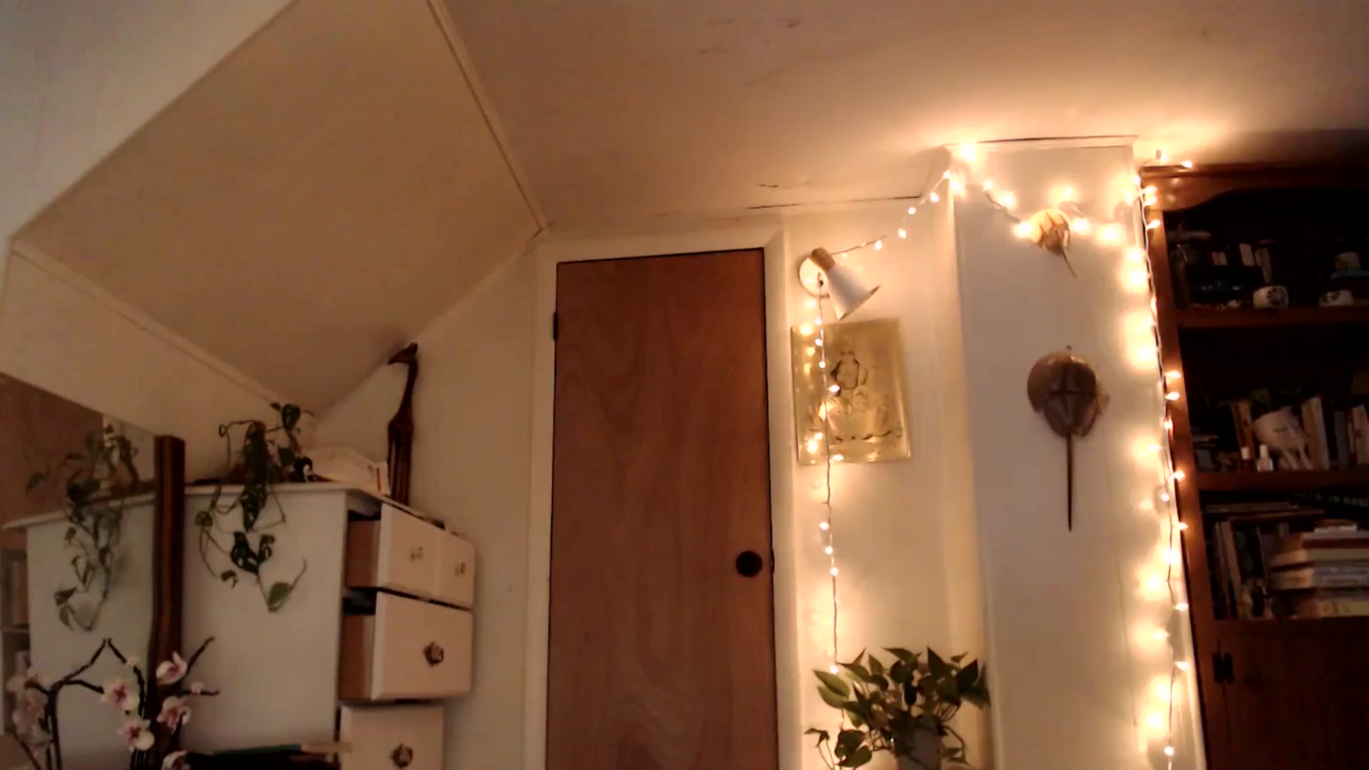 Gallery image thumbnail from WildflowerEm's myfreecams stream on, 07/12/2025, 23:13 image 14 of 20