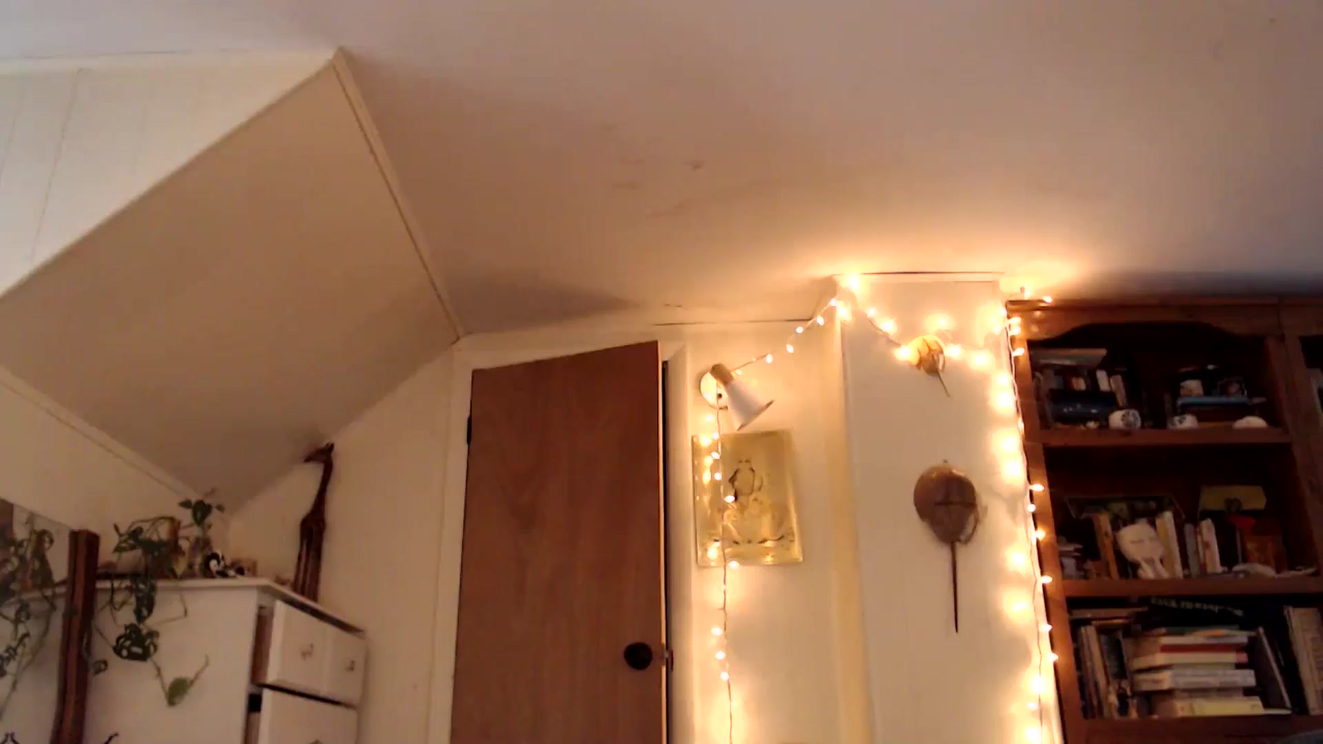 Gallery image thumbnail from WildflowerEm's myfreecams stream on, 08/10/2025, 22:54 image 12 of 20