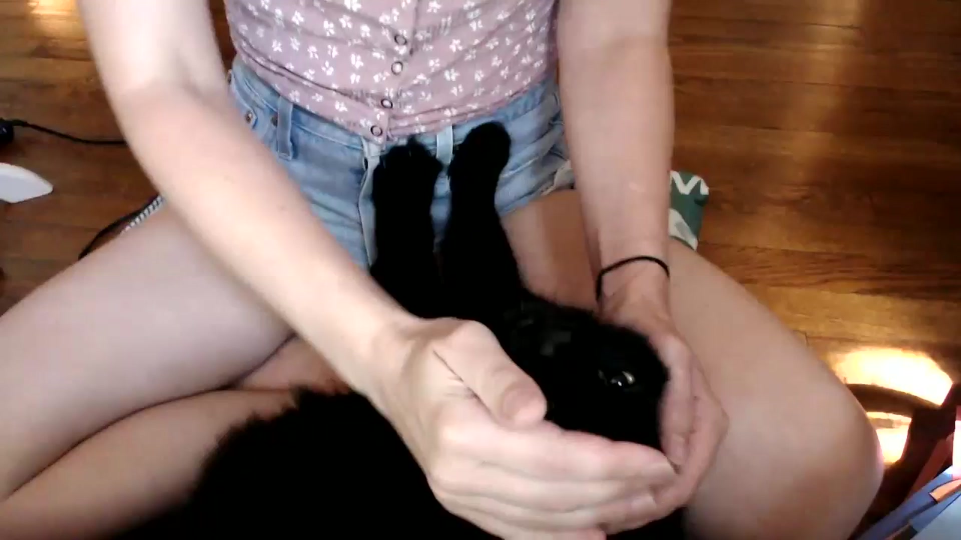 Gallery image thumbnail from WildflowerEm's myfreecams stream on, 08/24/2025, 19:28 image 1 of 20