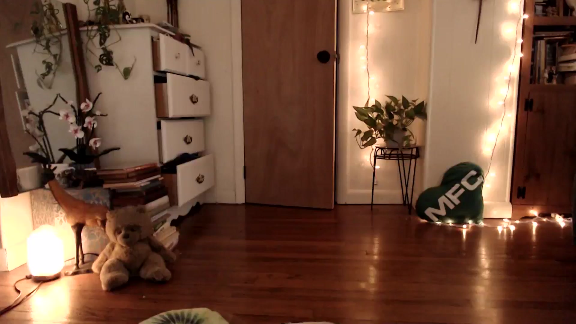 Gallery image thumbnail from WildflowerEm's myfreecams stream on, 08/29/2025, 19:14 image 12 of 20
