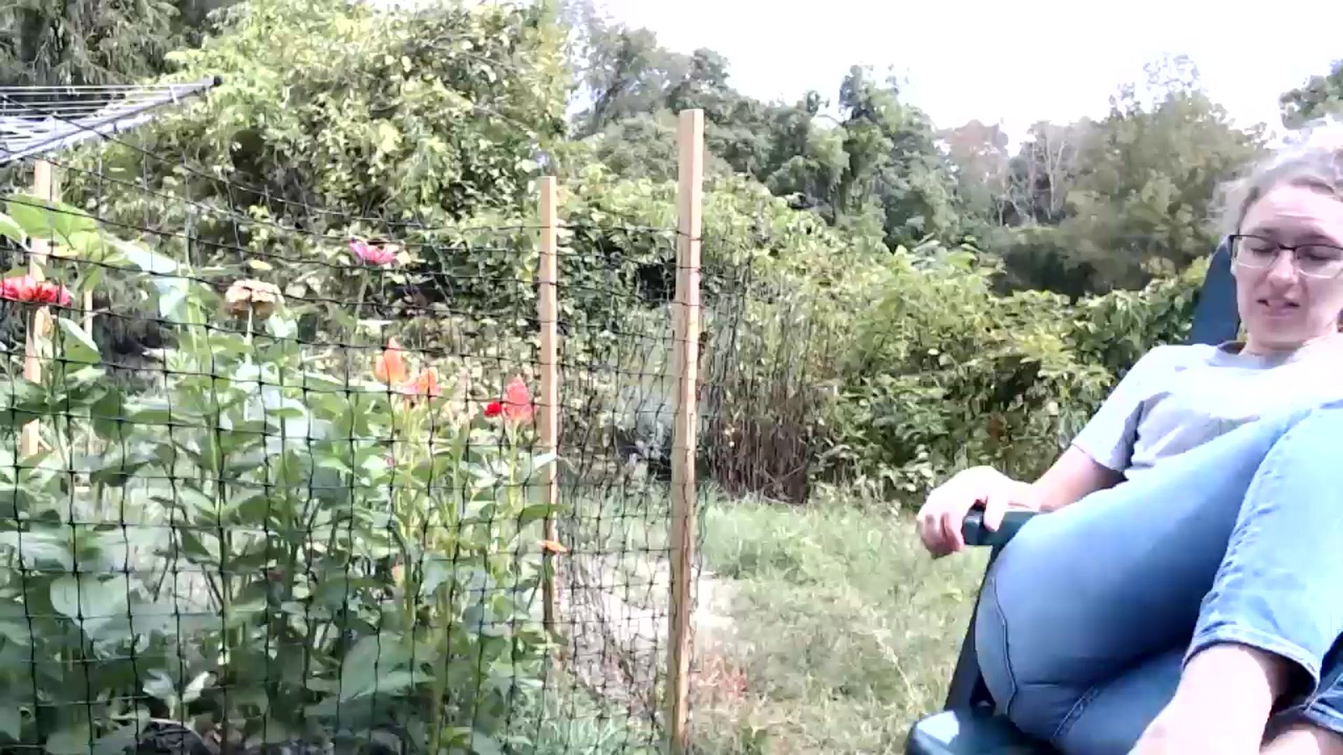 Gallery image thumbnail from WildflowerEm's myfreecams stream on, 09/16/2025, 15:45 image 15 of 20
