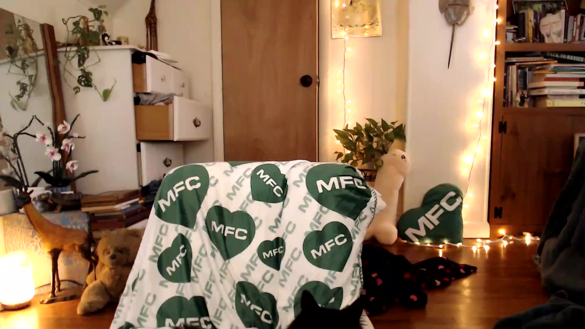 Gallery image thumbnail from WildflowerEm's myfreecams stream on, 09/16/2025, 17:12 image 6 of 20