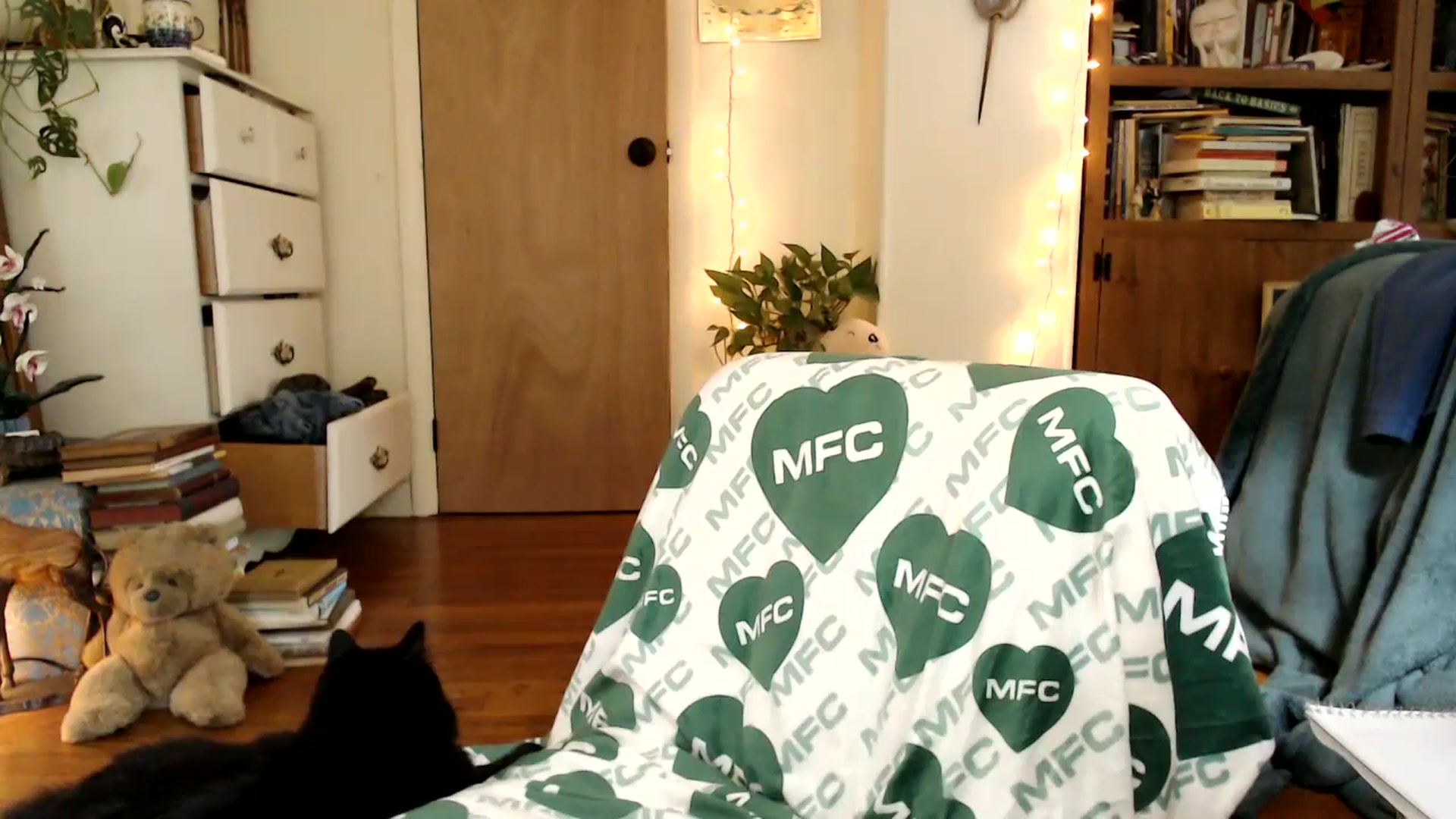 Gallery image thumbnail from WildflowerEm's myfreecams stream on, 09/17/2025, 19:09 image 14 of 20