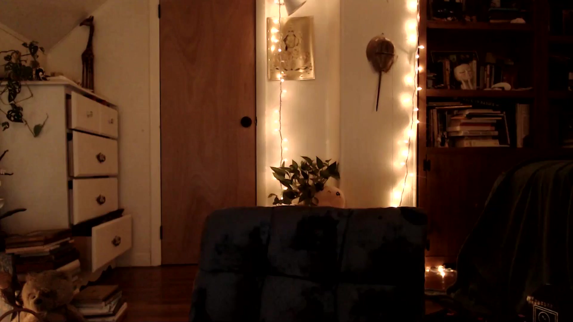 Gallery image thumbnail from WildflowerEm's myfreecams stream on, 09/21/2025, 23:40 image 15 of 20