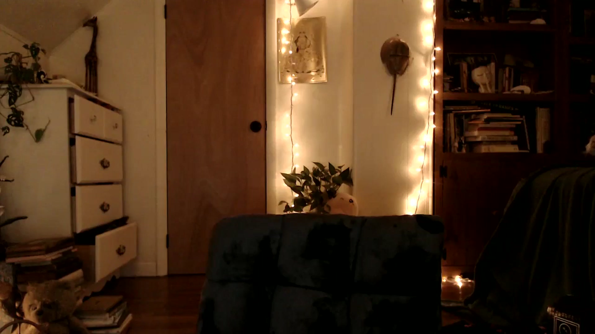 Gallery image thumbnail from WildflowerEm's myfreecams stream on, 09/21/2025, 23:40 image 14 of 20