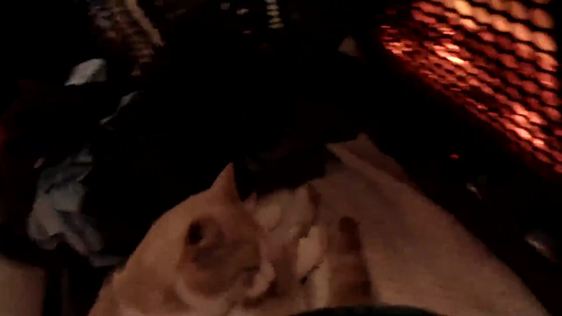 Gallery image thumbnail from WildflowerEm's myfreecams stream on, 02/06/2026, 23:08 image 14 of 20