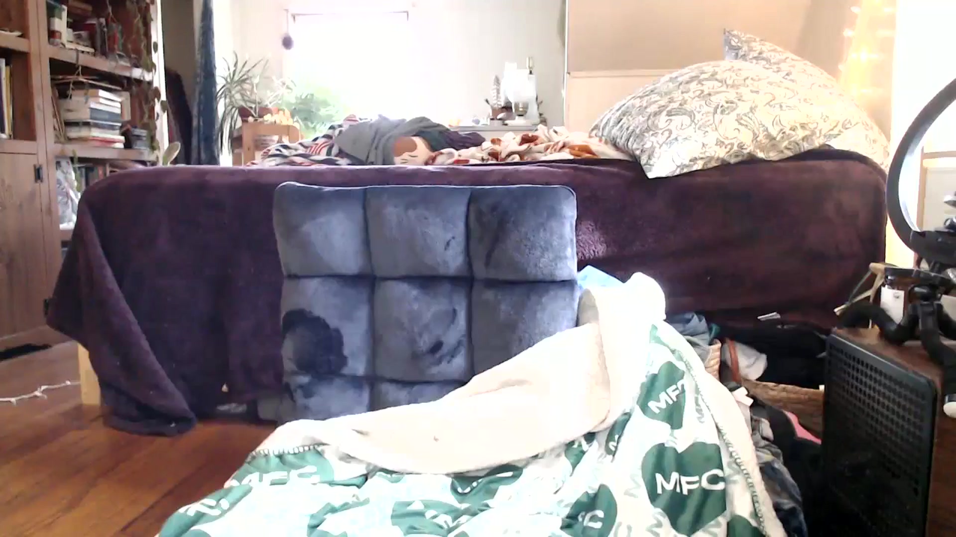 Gallery image thumbnail from WildflowerEm's myfreecams stream on, 03/30/2026, 19:20 image 17 of 20