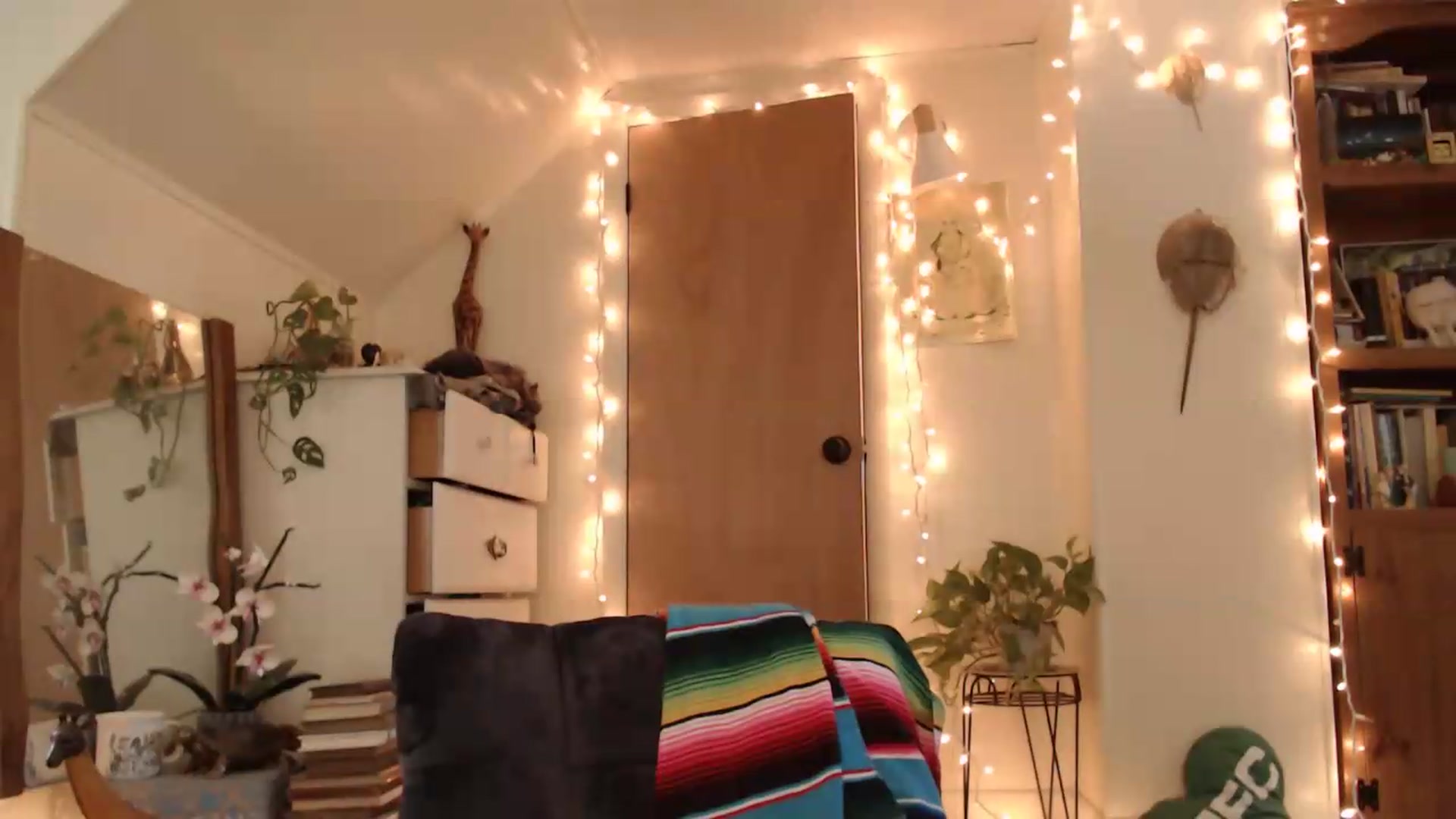 Gallery image thumbnail from WildflowerEm's myfreecams stream on, 07/31/2026, 20:54 image 11 of 20
