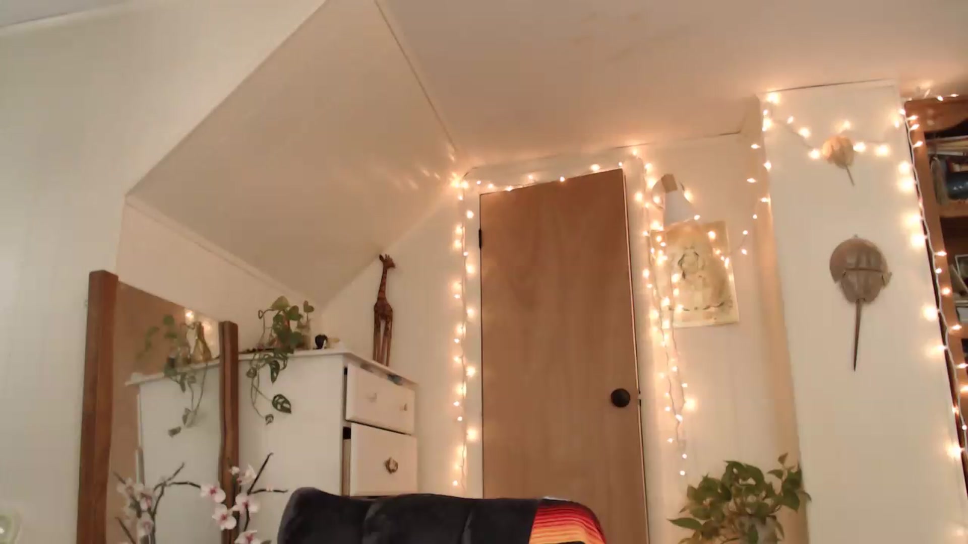 Gallery image thumbnail from WildflowerEm's myfreecams stream on, 08/16/2026, 19:26 image 7 of 20