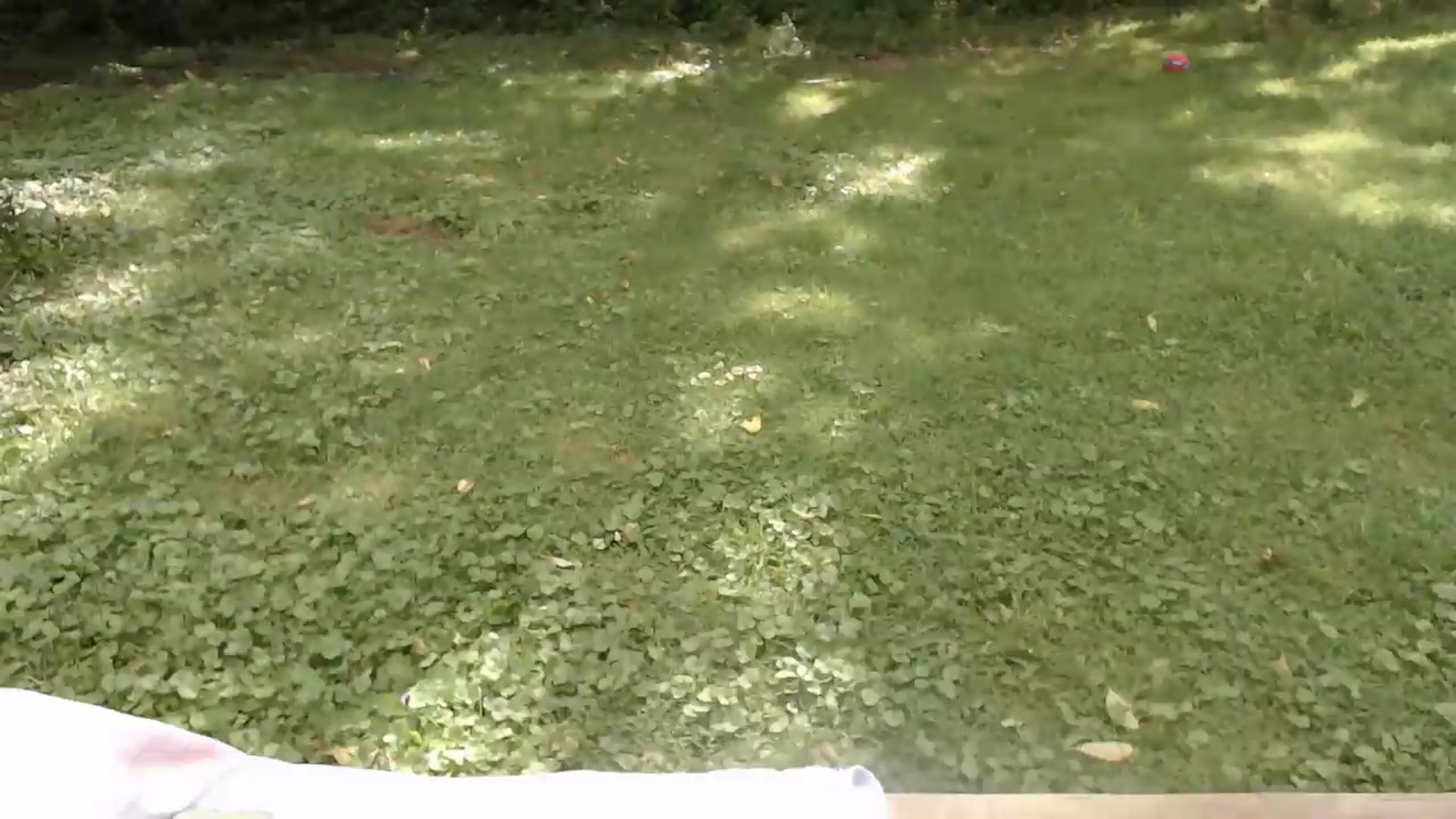 Gallery image thumbnail from WildflowerEm's myfreecams stream on, 09/08/2026, 18:21 image 8 of 20