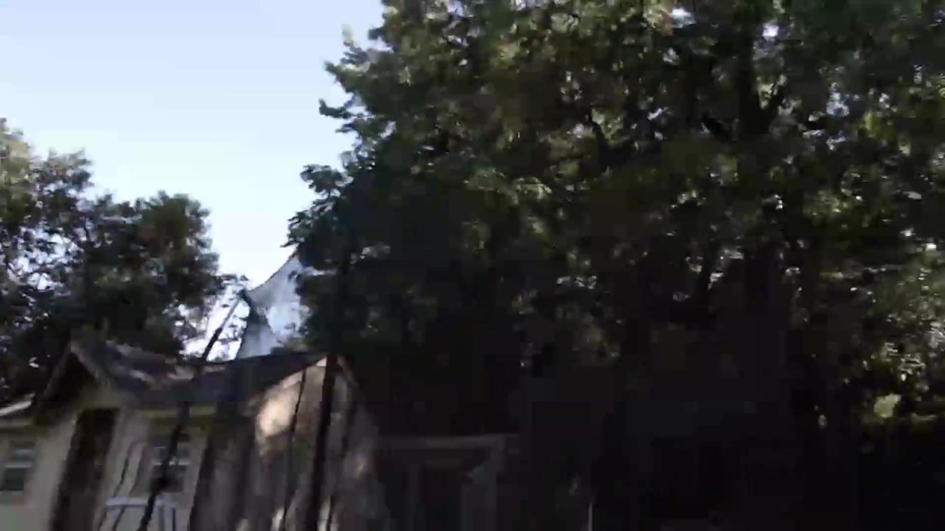 Gallery image thumbnail from WildflowerEm's myfreecams stream on, 09/08/2026, 19:14 image 16 of 20