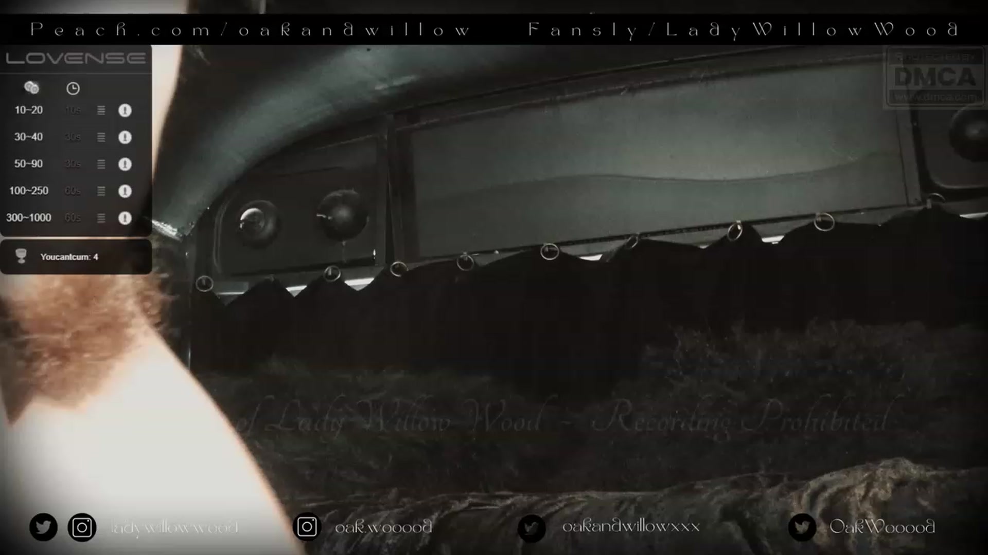 Gallery image thumbnail from WillowWood's myfreecams stream on, 06/12/2023, 23:00 image 12 of 20