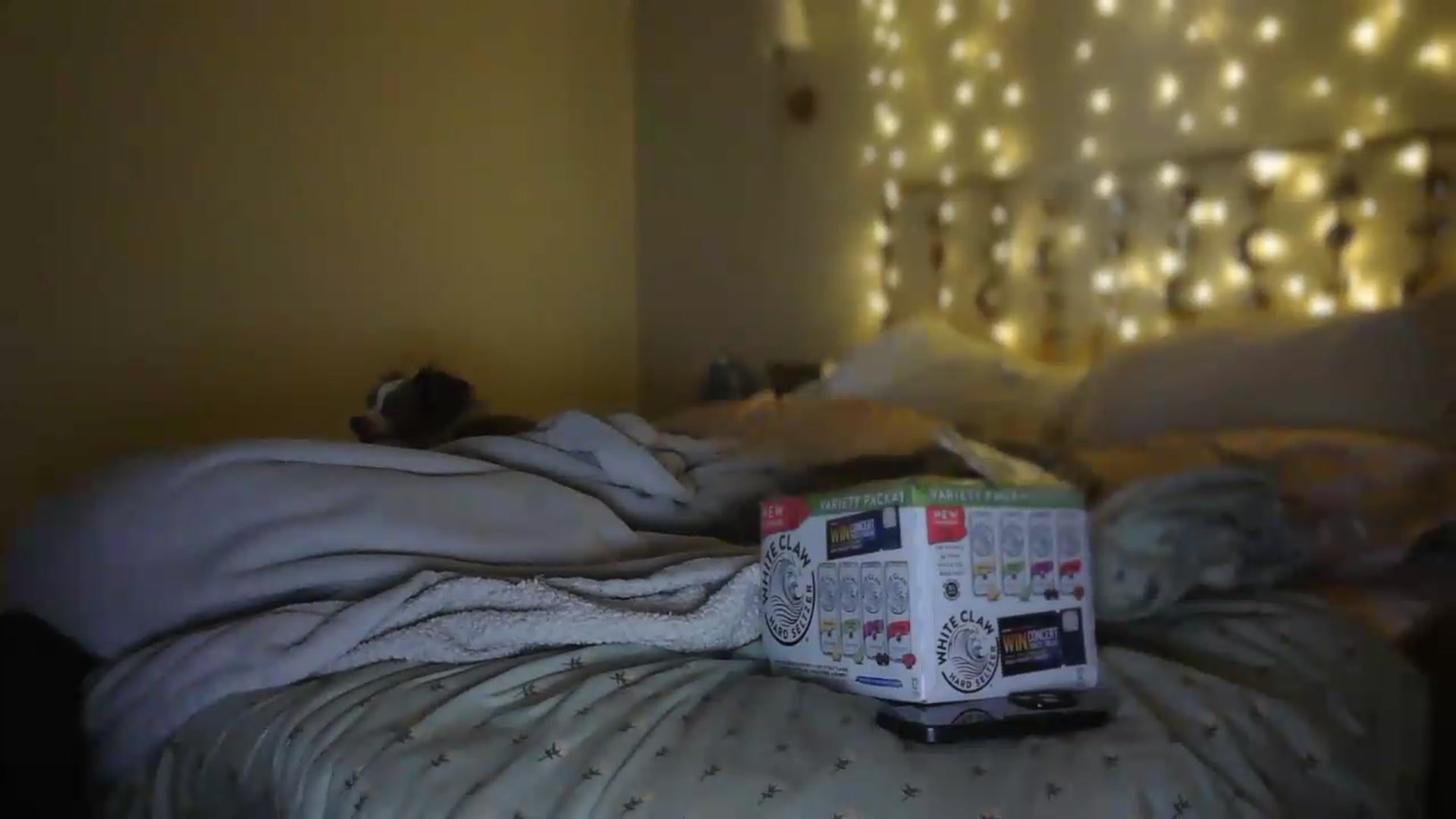 Gallery image thumbnail from Winter's myfreecams stream on, 07/12/2026, 22:11 image 12 of 20