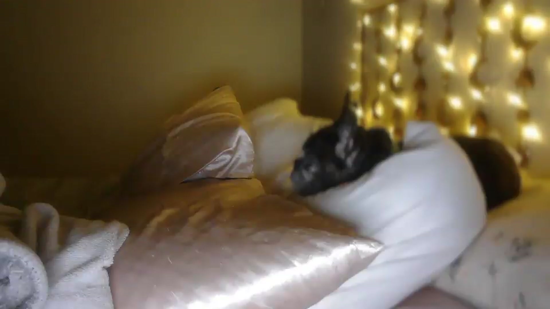 Gallery image thumbnail from Winter's myfreecams stream on, 07/29/2026, 06:09 image 18 of 20