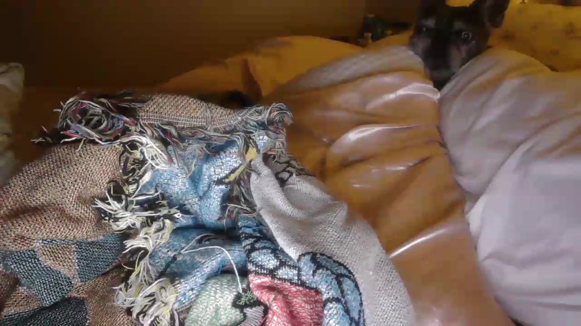 Gallery image thumbnail from Winter's myfreecams stream on, 08/06/2026, 05:43 image 20 of 20