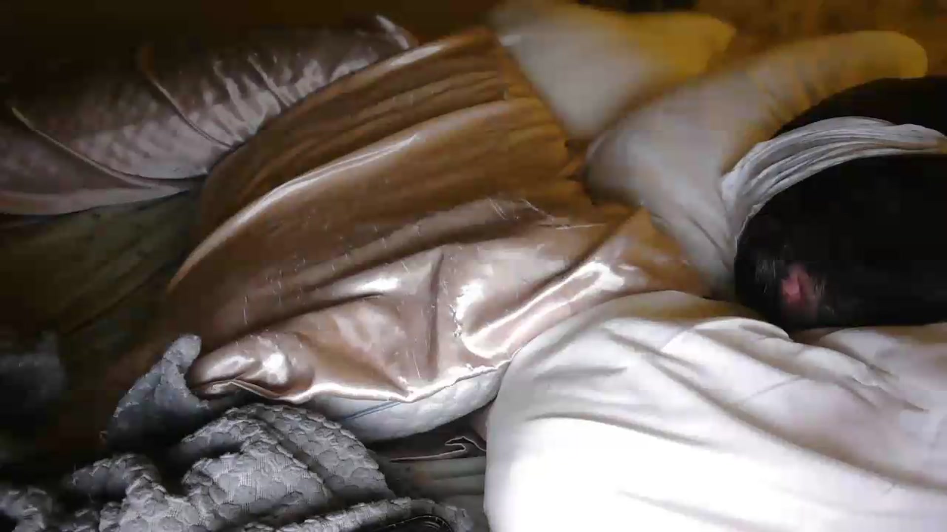 Gallery image thumbnail from Winter's myfreecams stream on, 08/24/2026, 08:45 image 10 of 20