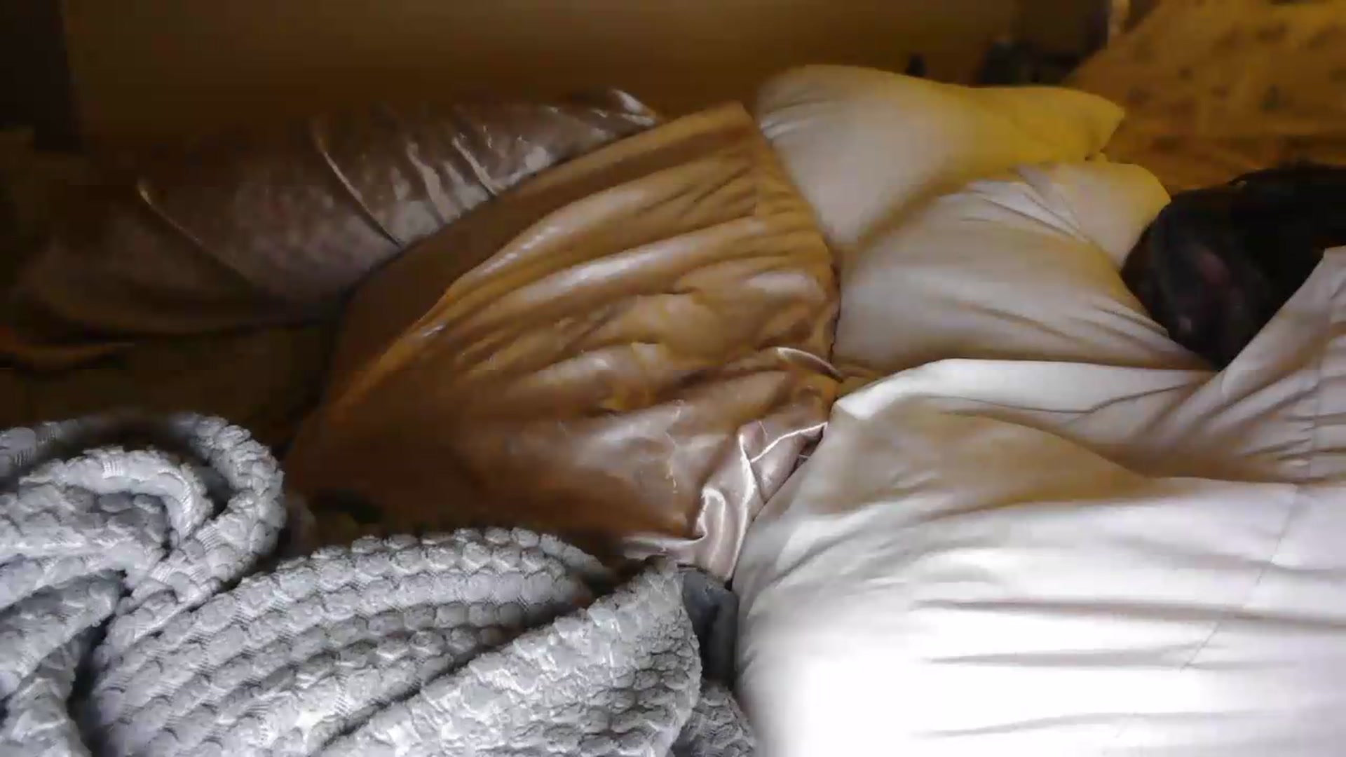 Gallery image thumbnail from Winter's myfreecams stream on, 08/24/2026, 08:45 image 19 of 20