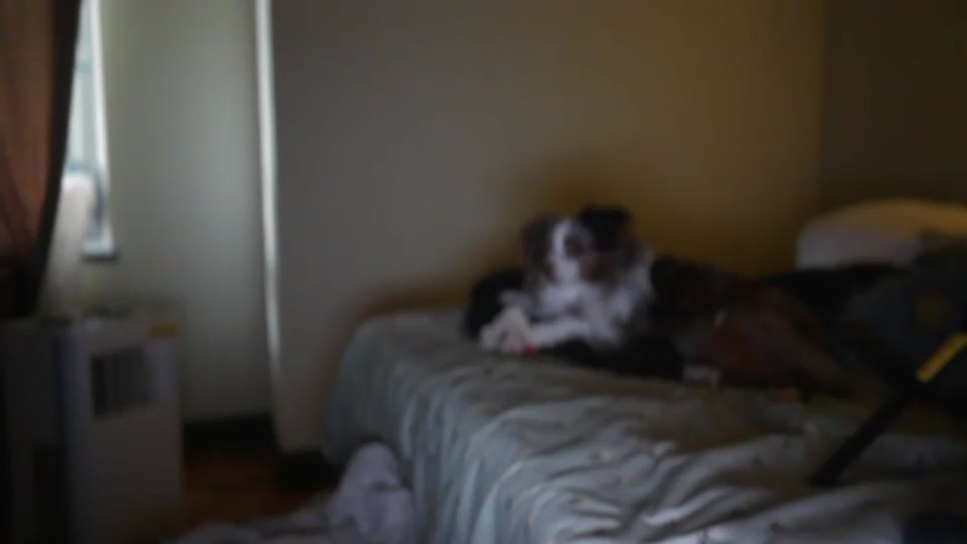Gallery image thumbnail from Winter's myfreecams stream on, 09/01/2026, 22:45 image 19 of 20