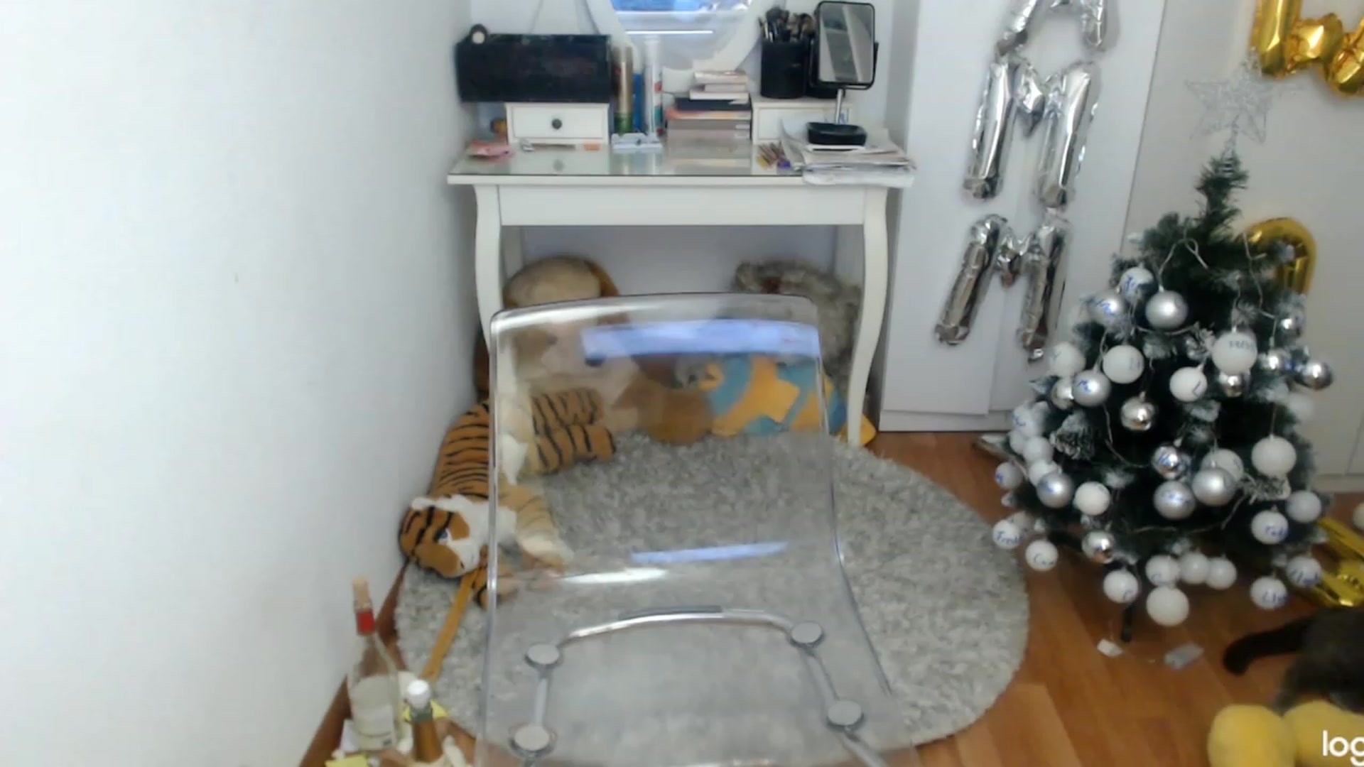 Gallery image thumbnail from WinterJewel's myfreecams stream on, 12/30/2023, 11:12 image 14 of 20