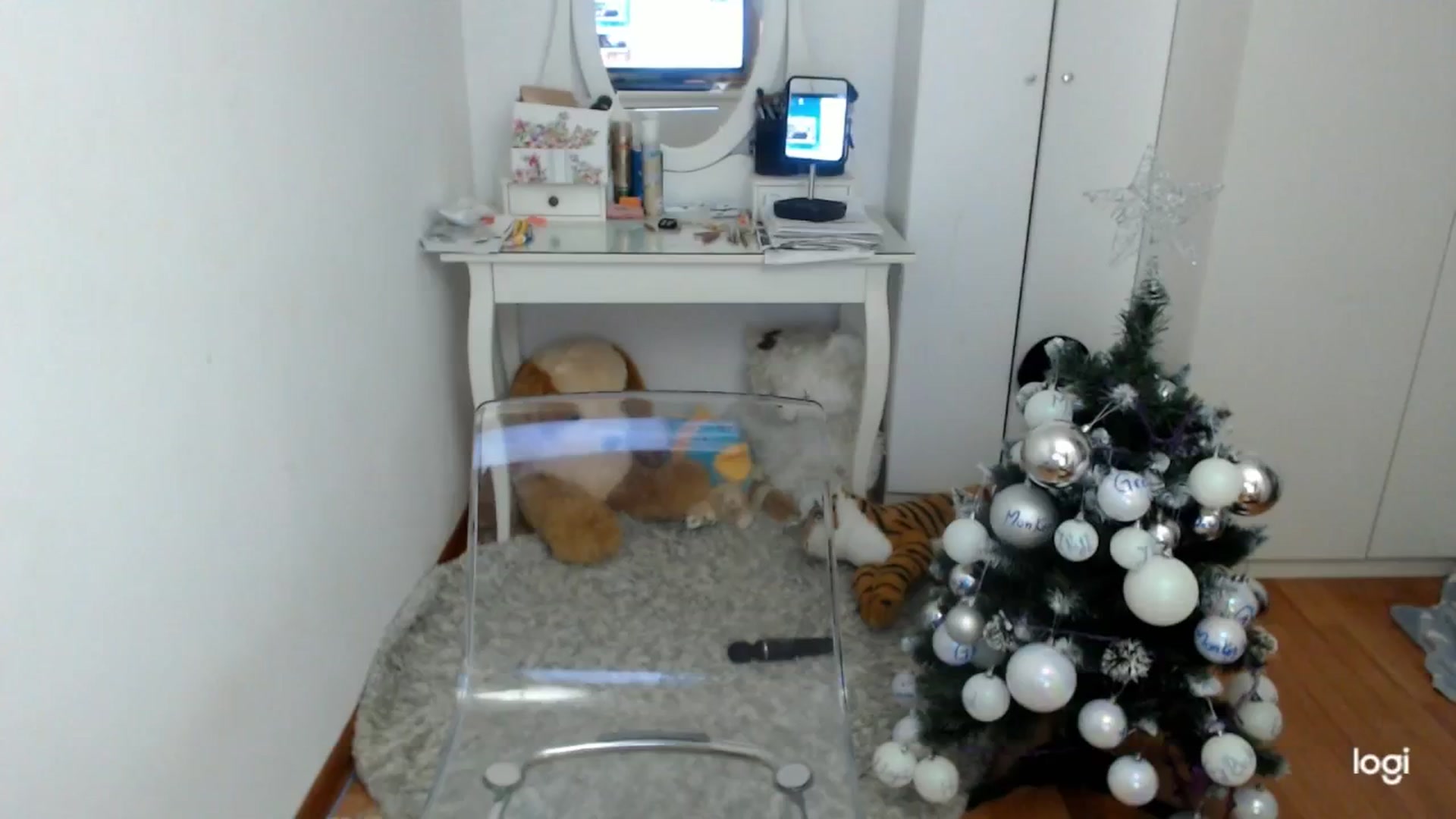 Gallery image thumbnail from WinterJewel's myfreecams stream on, 12/27/2024, 10:30 image 14 of 20