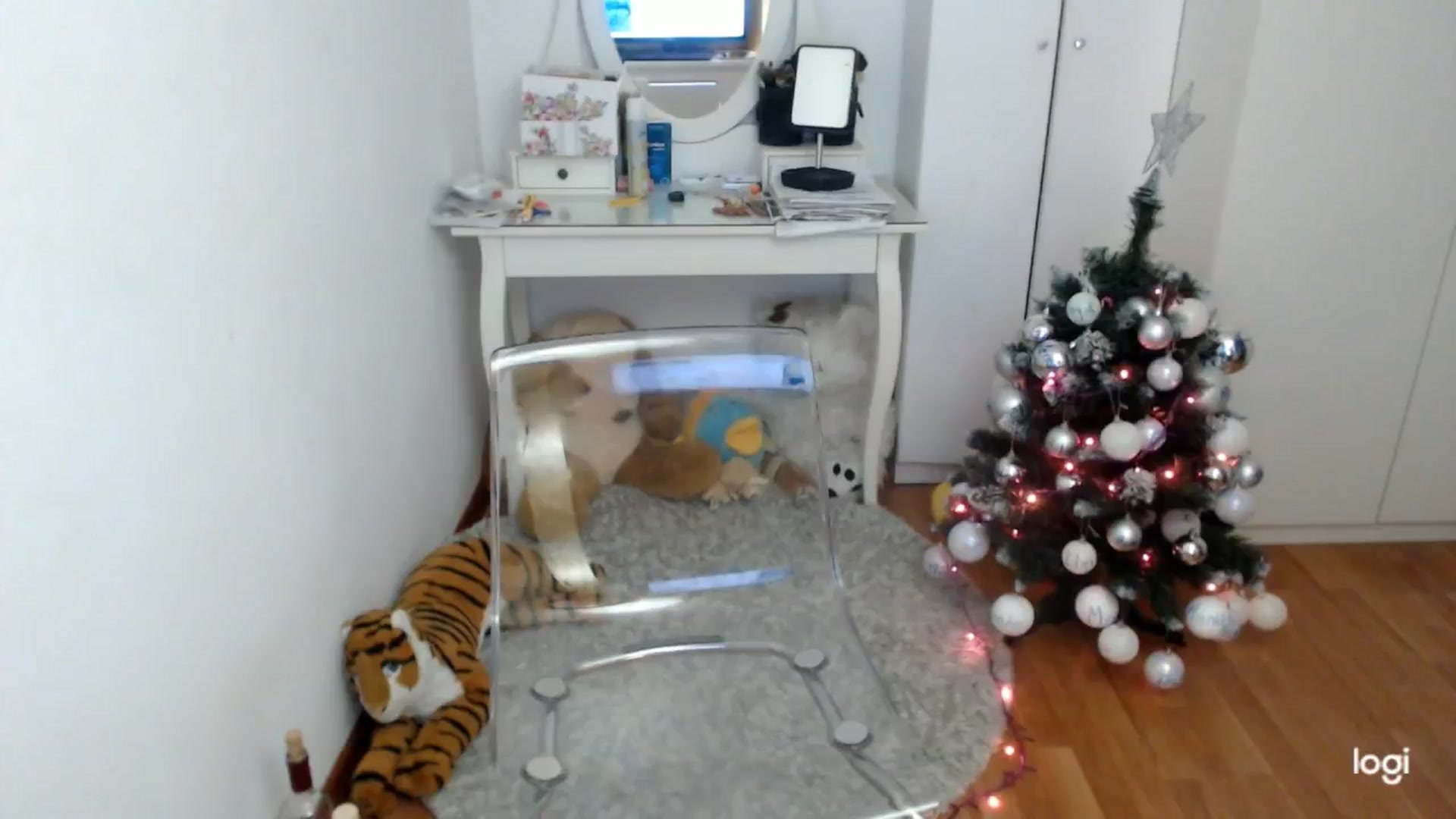 Gallery image thumbnail from WinterJewel's myfreecams stream on, 12/30/2024, 09:32 image 16 of 20