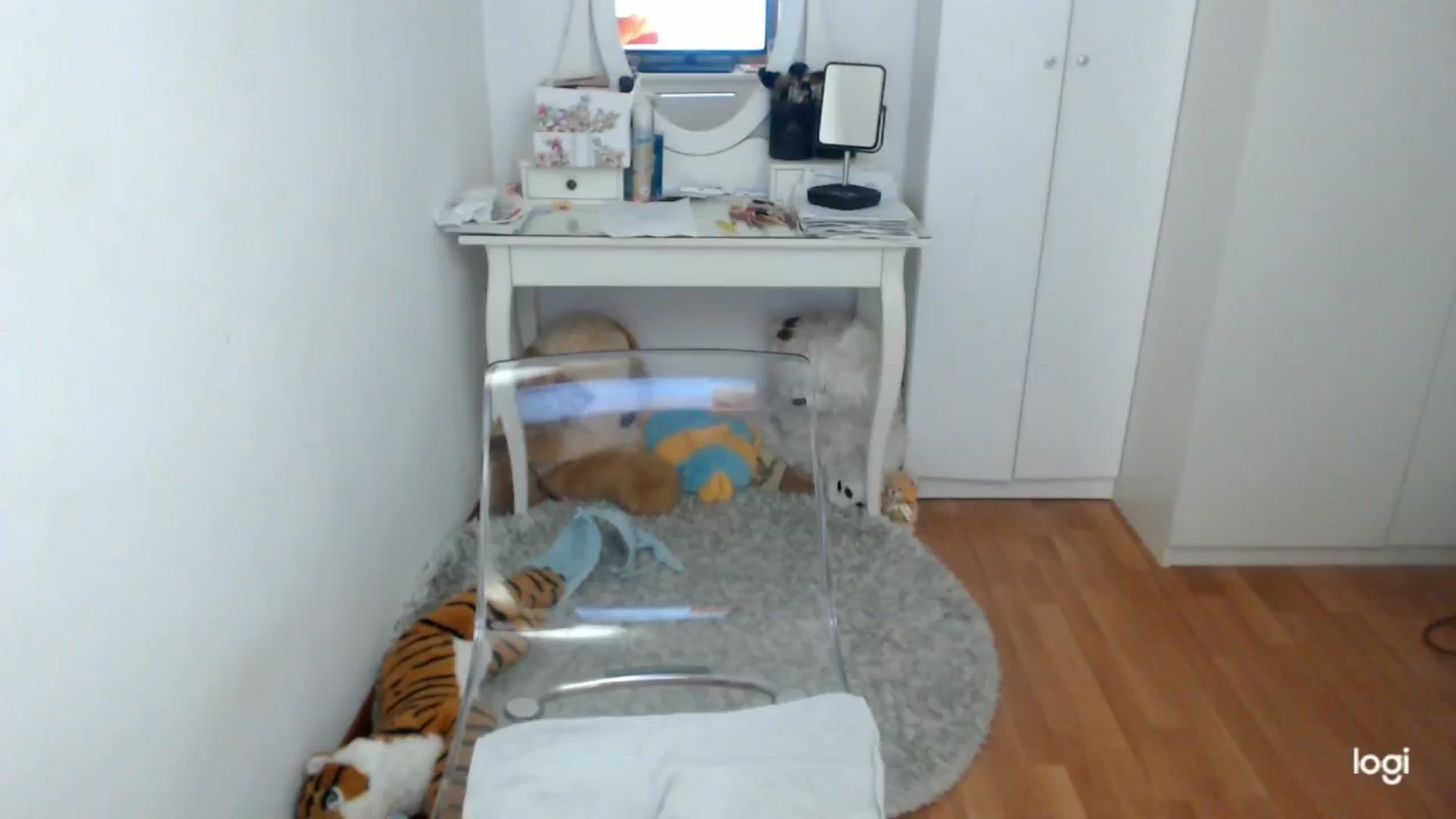 Gallery image thumbnail from WinterJewel's myfreecams stream on, 02/11/2025, 09:36 image 7 of 20