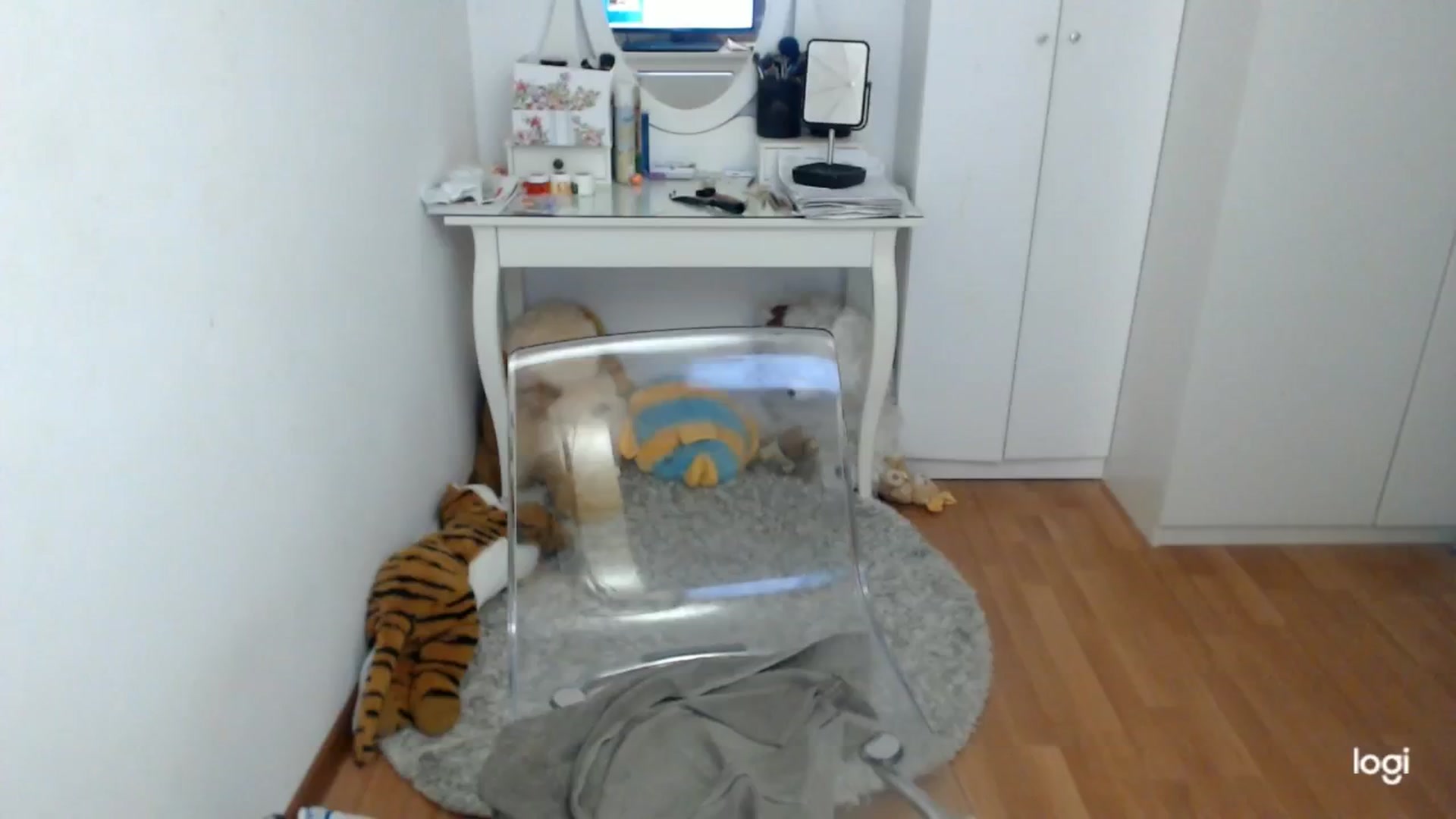 Gallery image thumbnail from WinterJewel's myfreecams stream on, 02/25/2025, 09:04 image 10 of 20