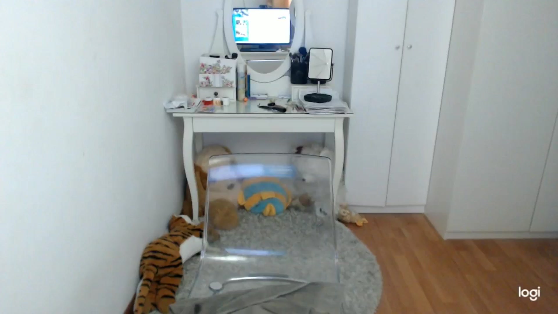 Gallery image thumbnail from WinterJewel's myfreecams stream on, 02/25/2025, 09:04 image 13 of 20