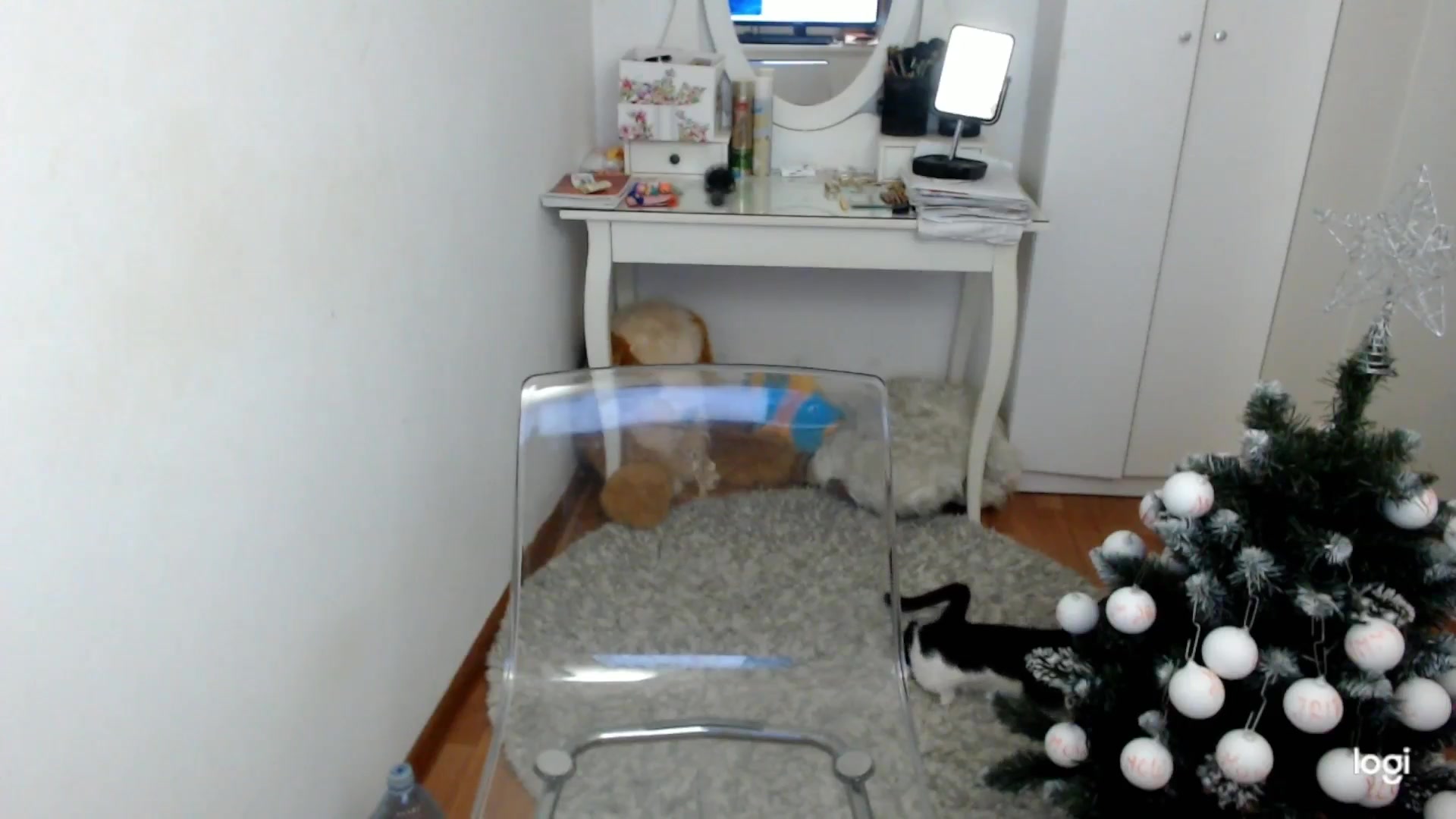 Gallery image thumbnail from WinterJewel's myfreecams stream on, 12/22/2025, 09:31 image 12 of 20