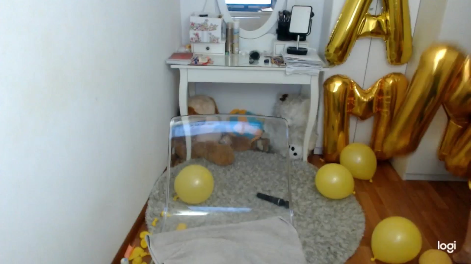 Gallery image thumbnail from WinterJewel's myfreecams stream on, 01/04/2026, 10:20 image 11 of 20