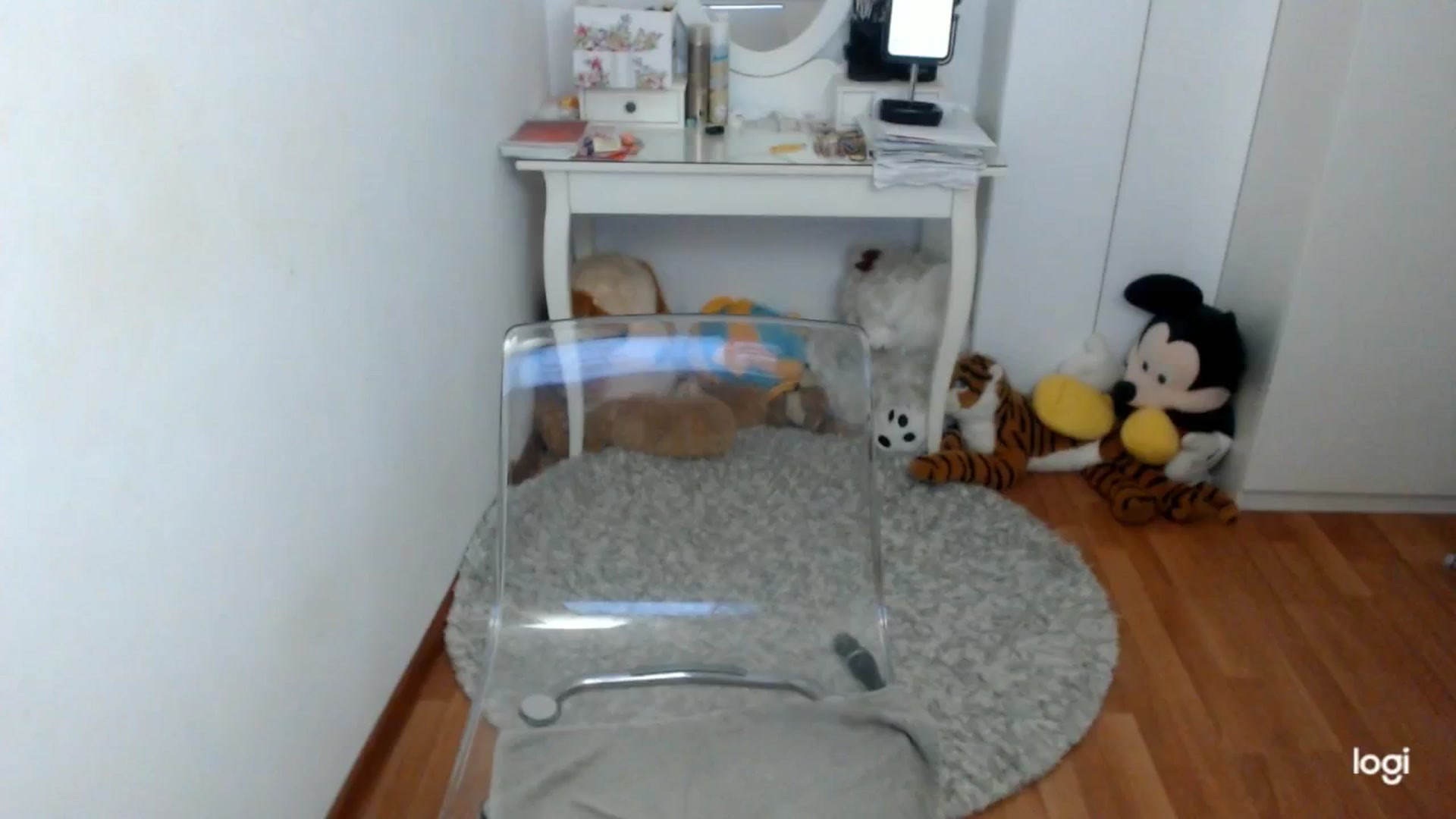 Gallery image thumbnail from WinterJewel's myfreecams stream on, 01/06/2026, 09:29 image 16 of 20
