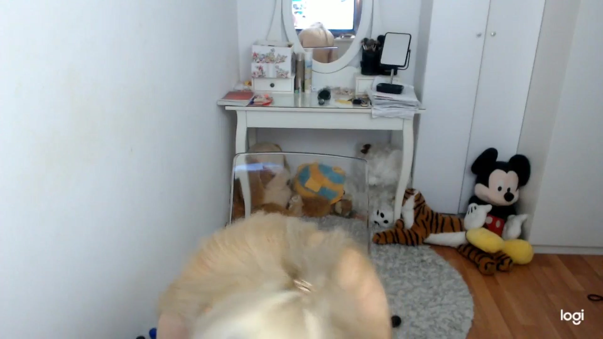 Gallery image thumbnail from WinterJewel's myfreecams stream on, 01/12/2026, 09:47 image 16 of 20
