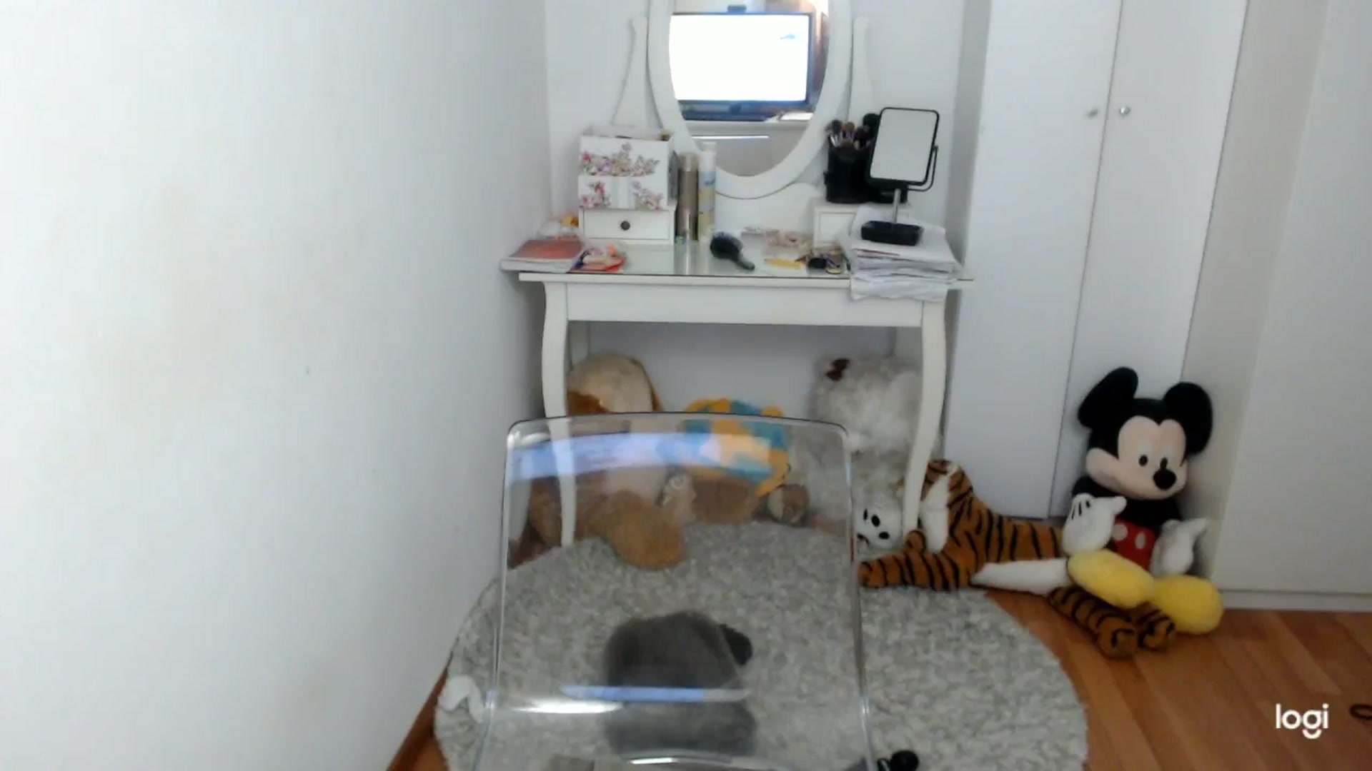 Gallery image thumbnail from WinterJewel's myfreecams stream on, 01/12/2026, 09:47 image 12 of 20
