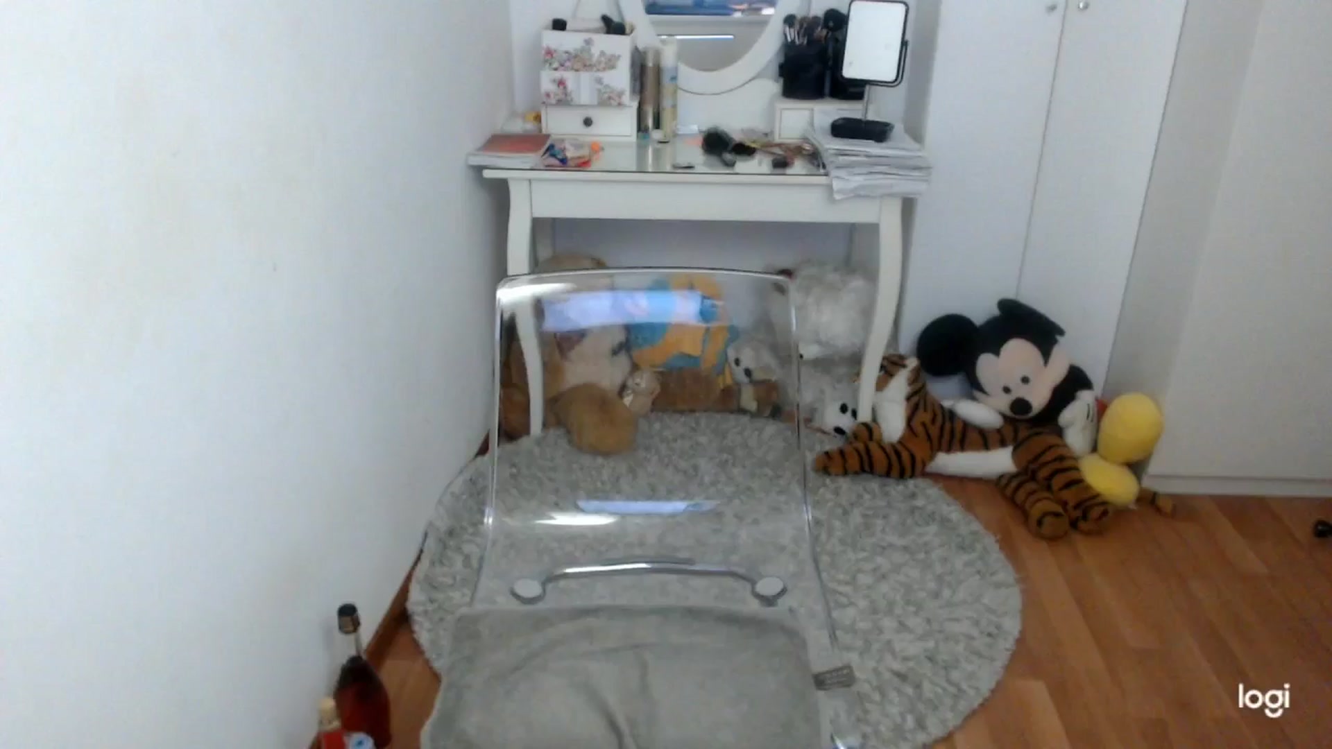 Gallery image thumbnail from WinterJewel's myfreecams stream on, 01/21/2026, 09:25 image 8 of 20