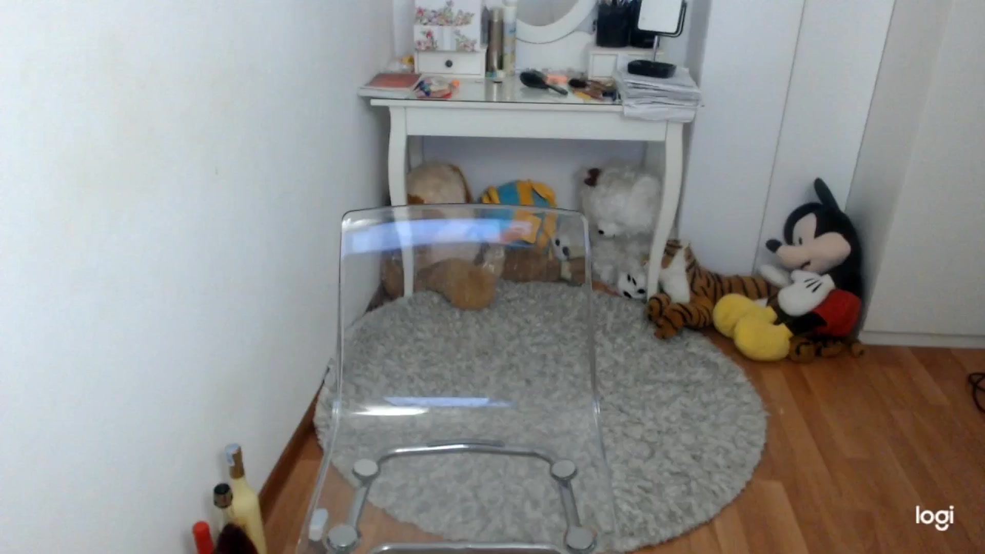 Gallery image thumbnail from WinterJewel's myfreecams stream on, 01/23/2026, 09:45 image 6 of 20