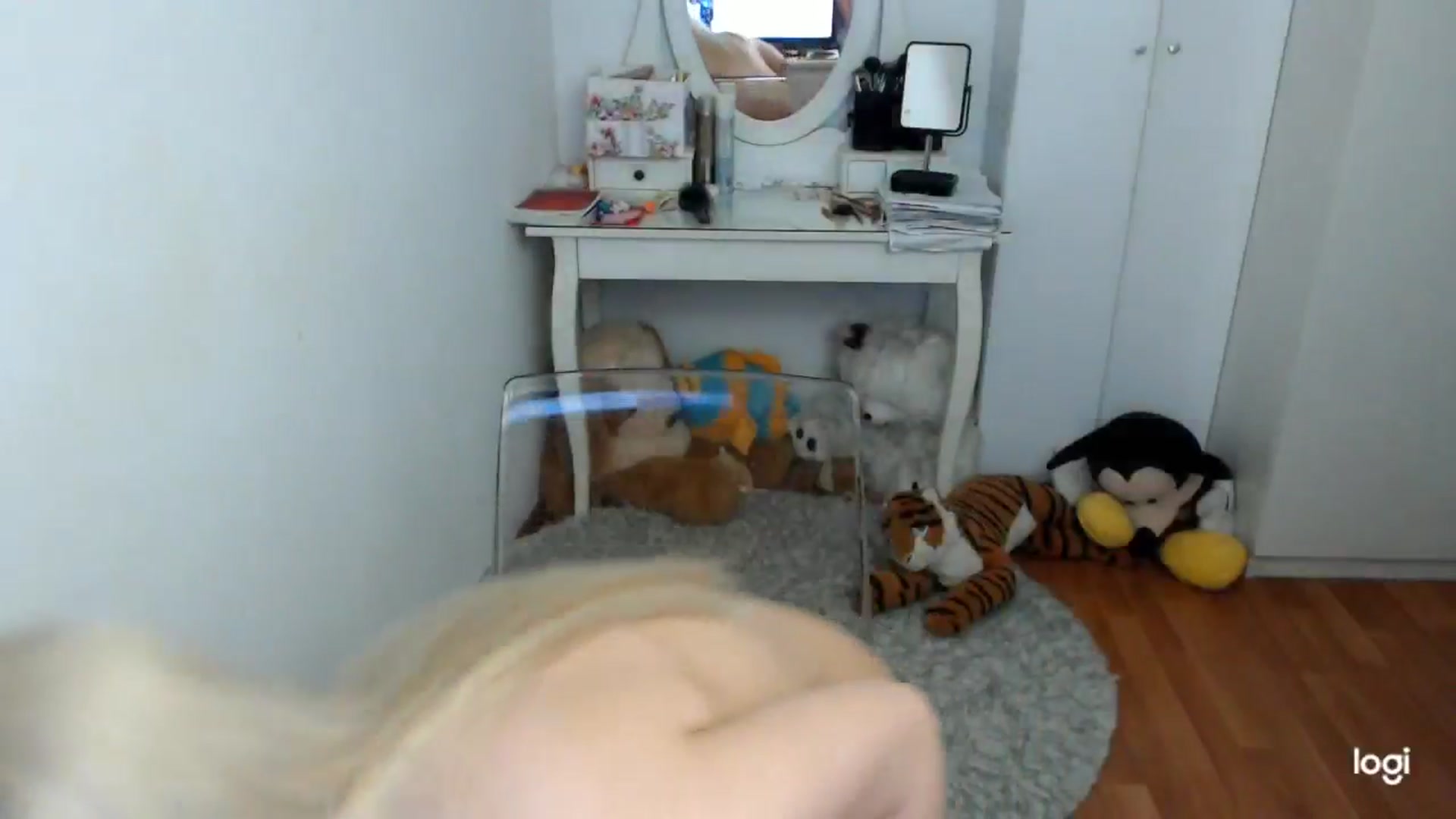 Gallery image thumbnail from WinterJewel's myfreecams stream on, 02/07/2026, 08:10 image 15 of 20